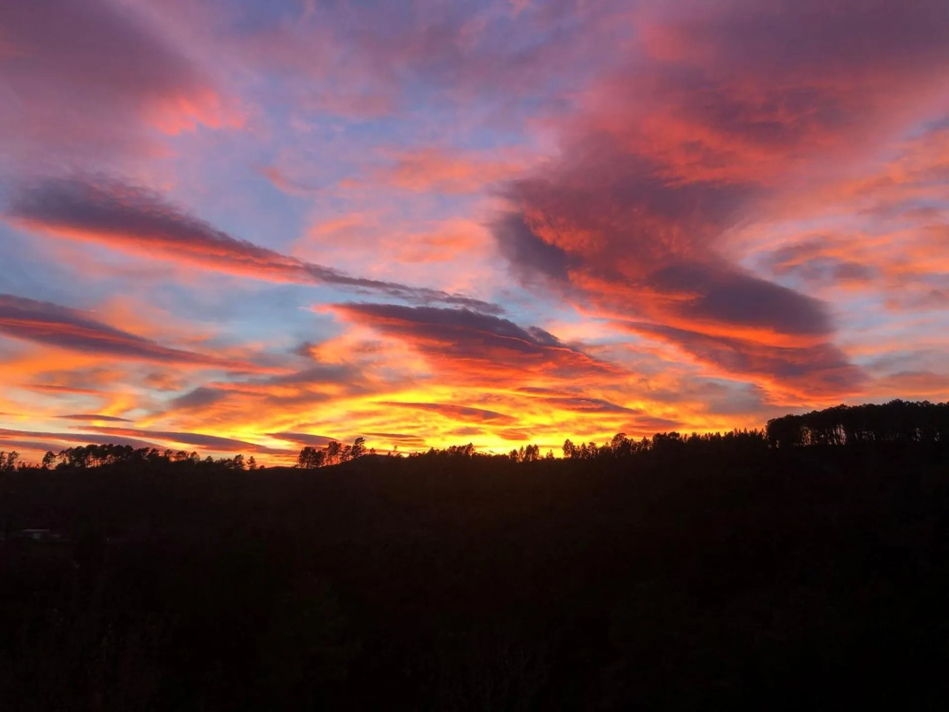 Garden view in Mas de la Giralde - Gites