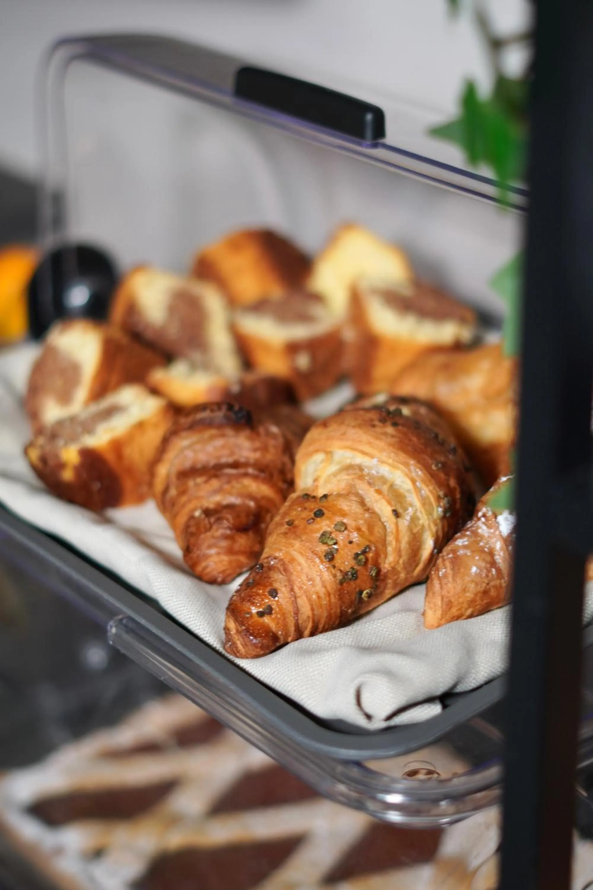 Food and drinks in Hotel Europa