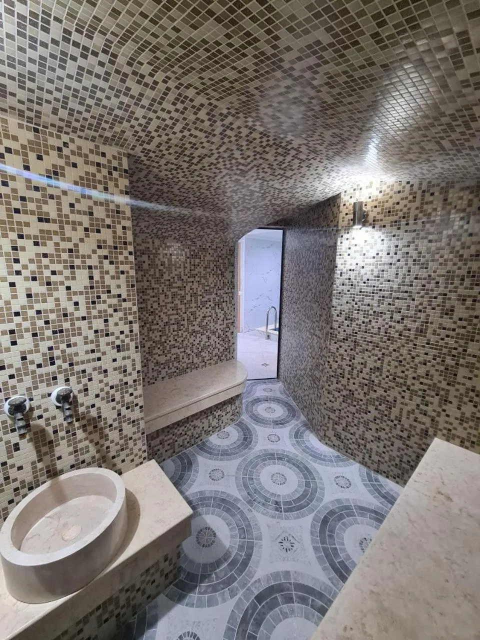 Steam room in Hotel Kalyan & Spa