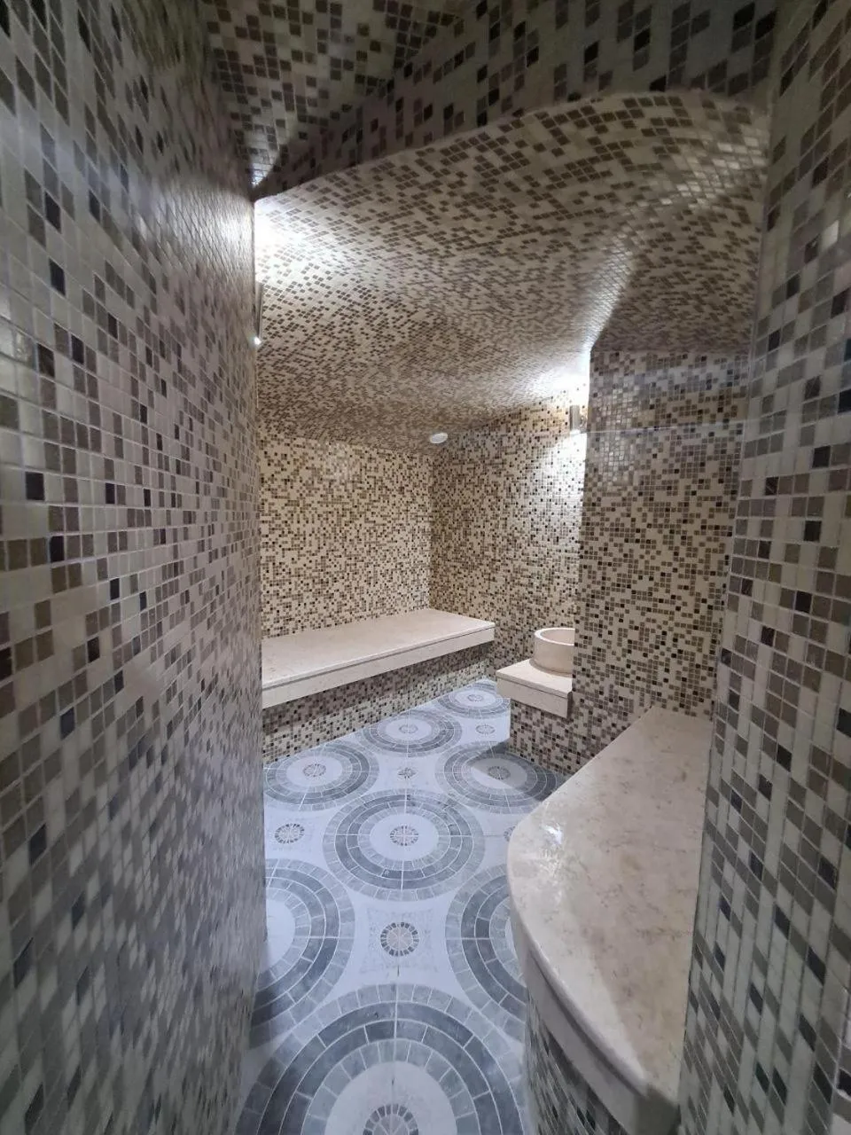 Steam room in Hotel Kalyan & Spa