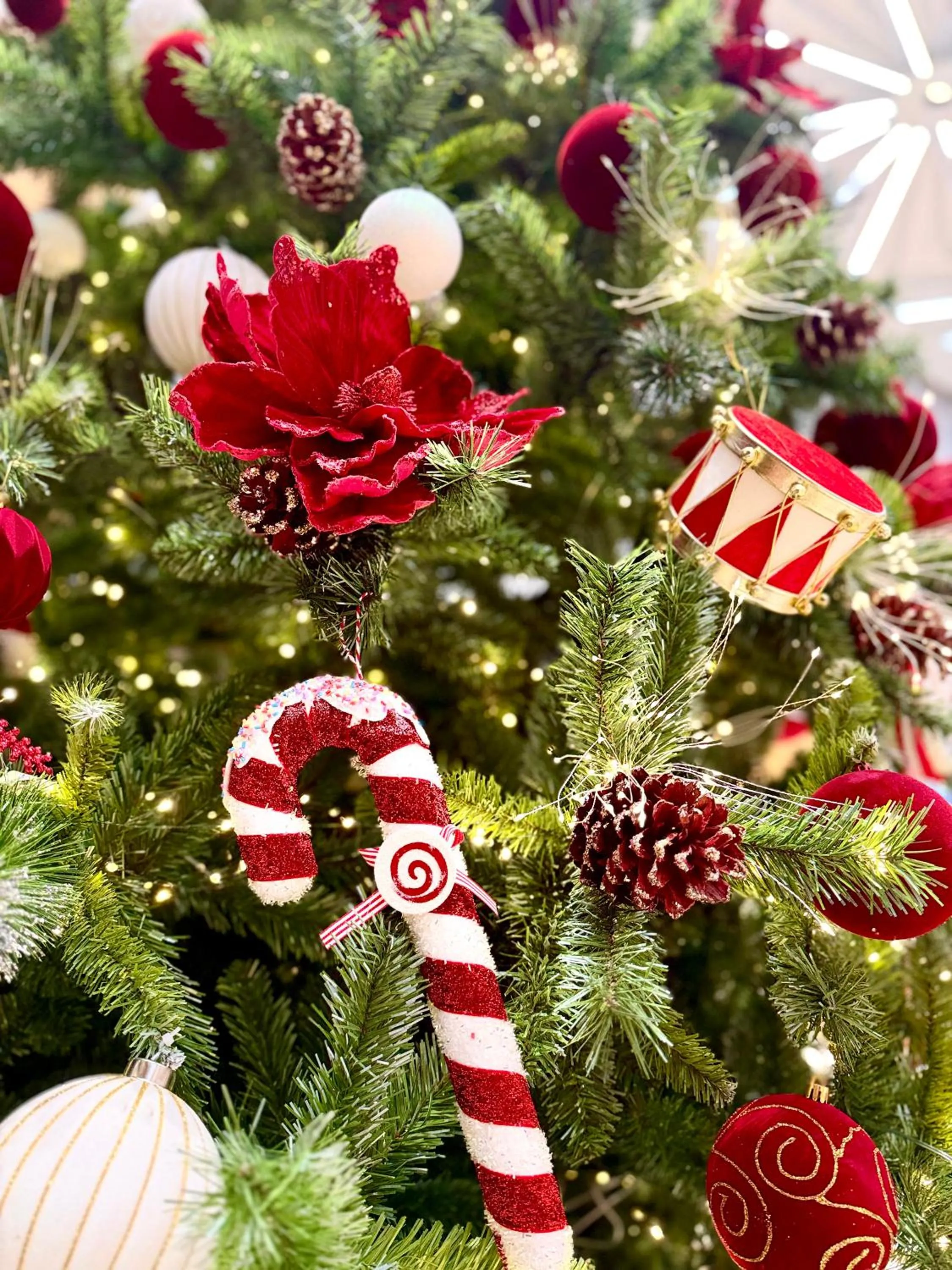 PHUC LONG LUXURY Danang