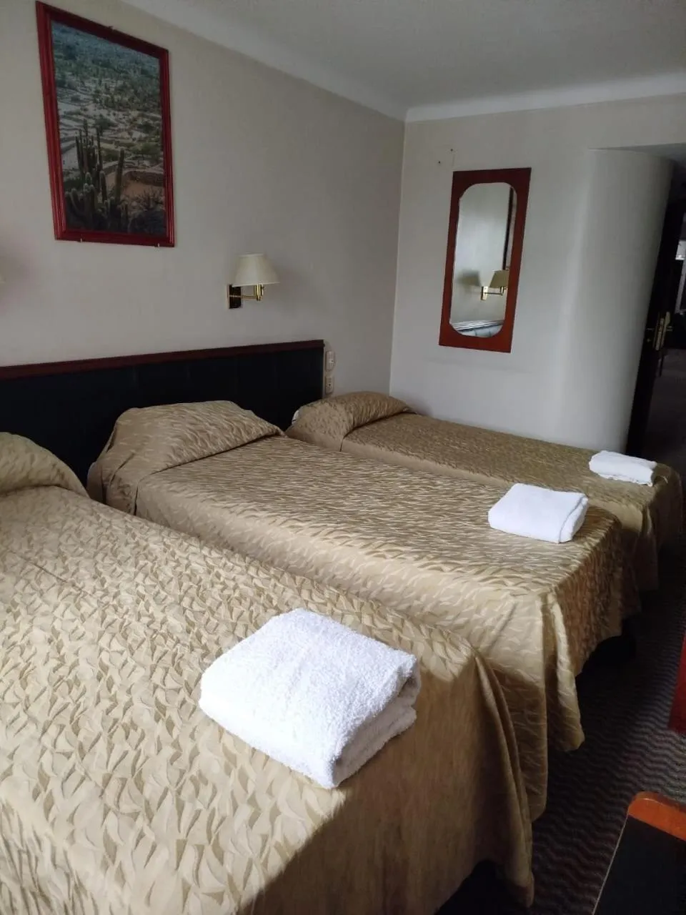 Bed in Hotel Presidente