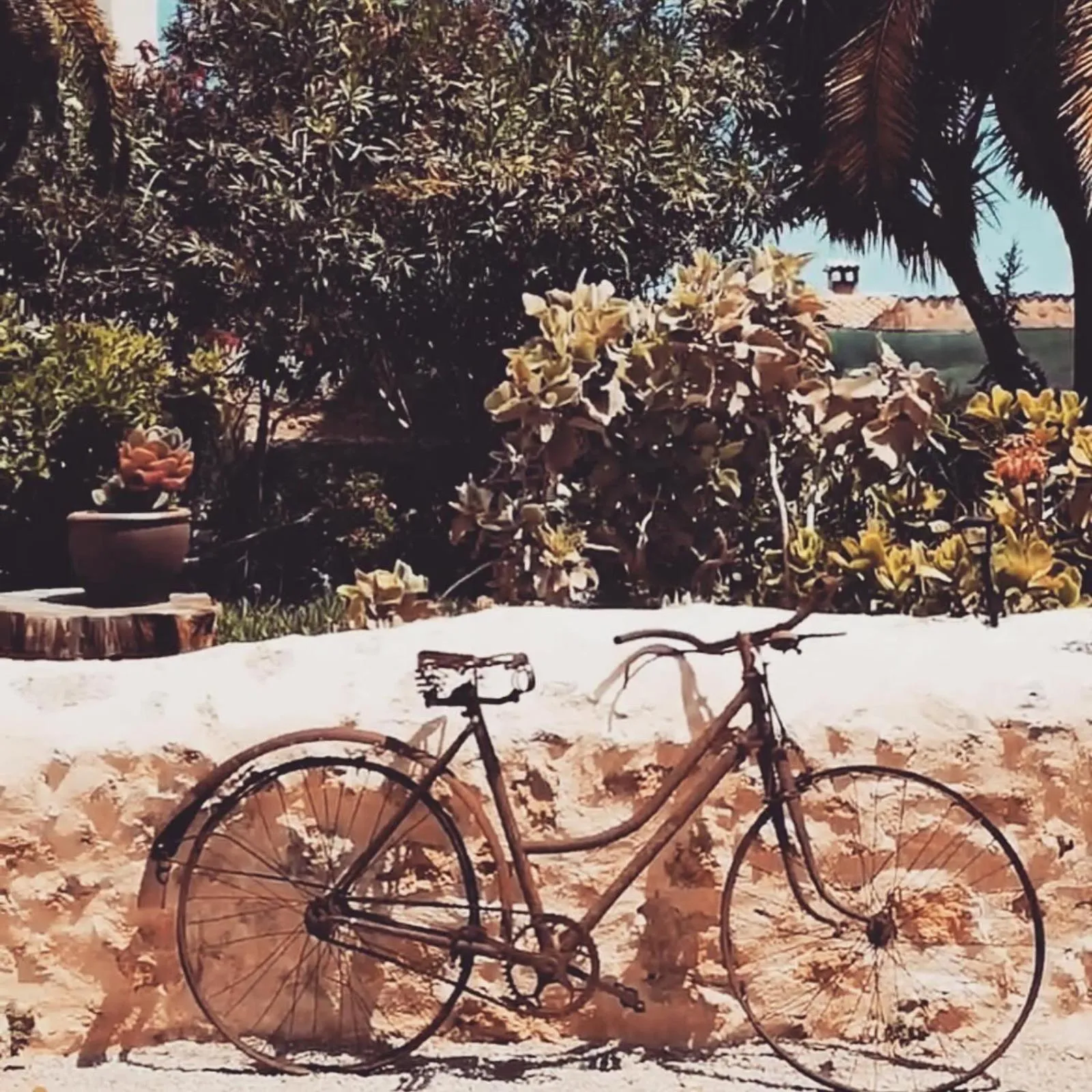 Casa Mona Turismo de Interior