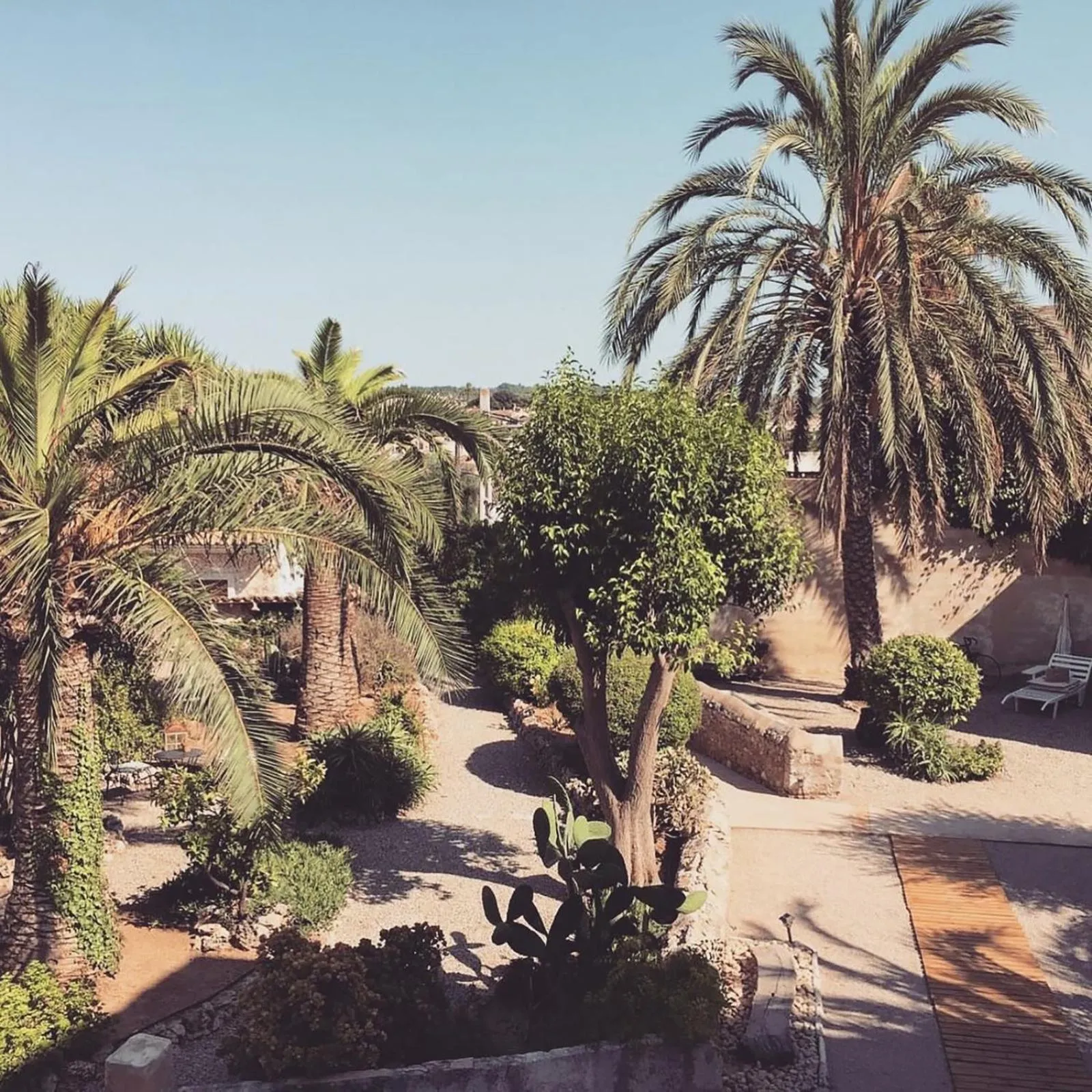 Garden view in Casa Mona Turismo de Interior