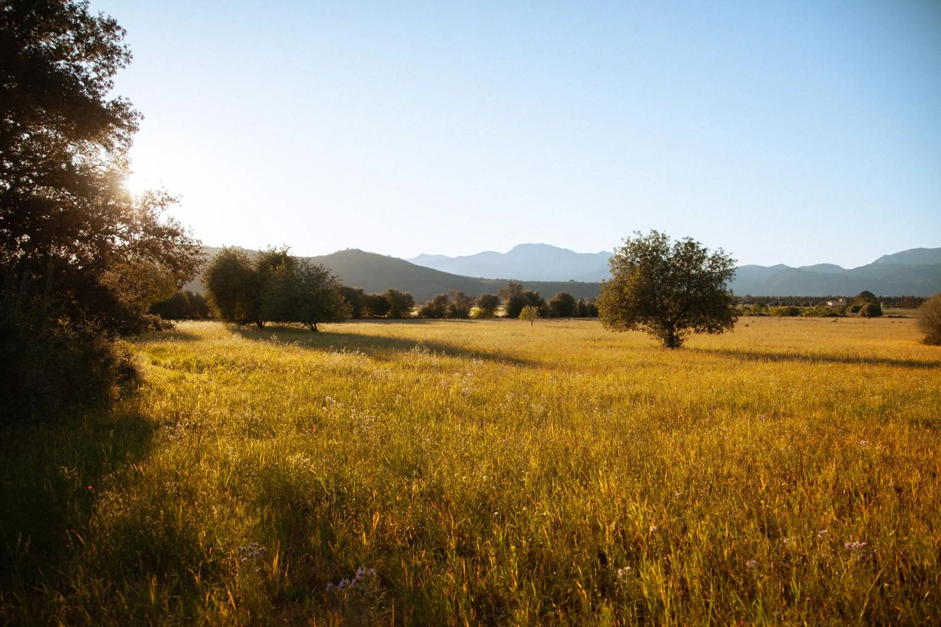 Casa Mona Turismo de Interior