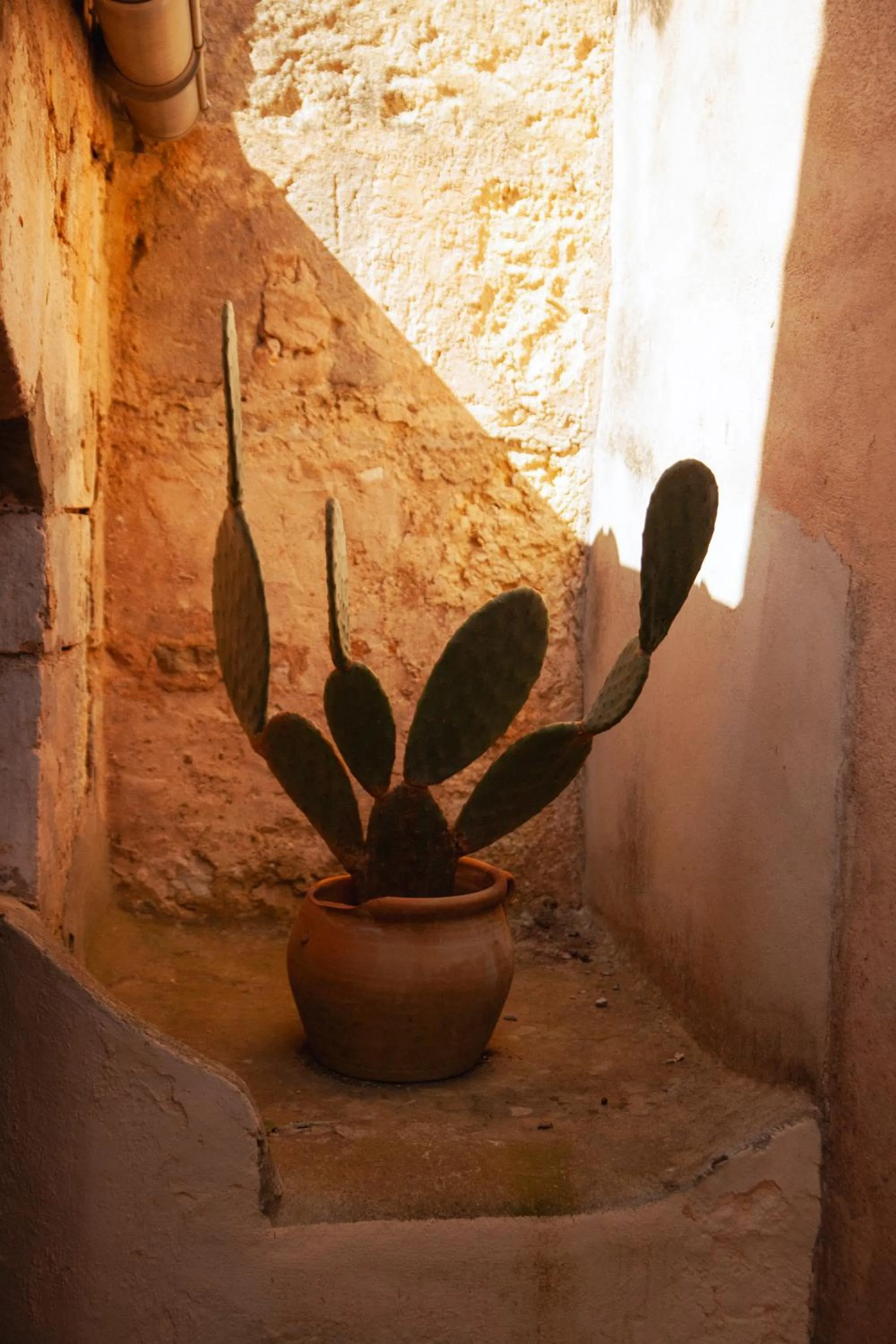Casa Mona Turismo de Interior