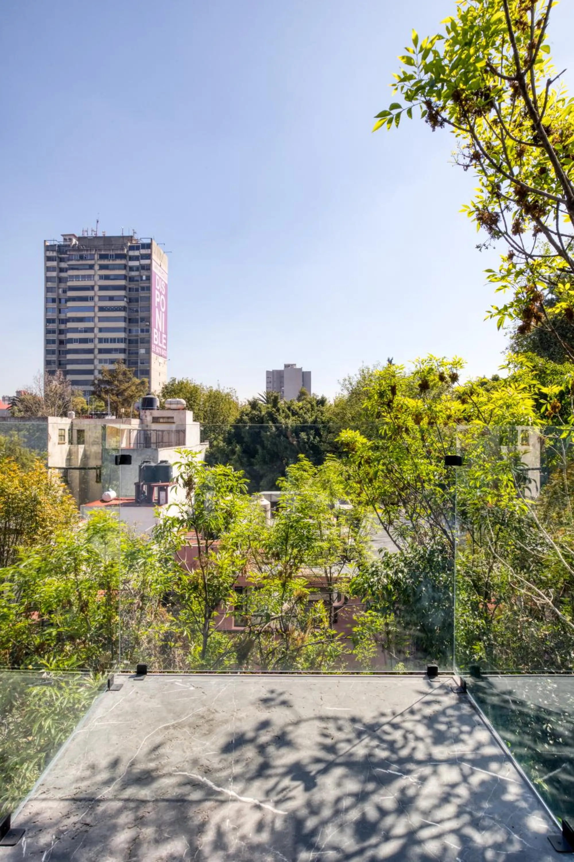 View (from property/room) in El Alfonsa