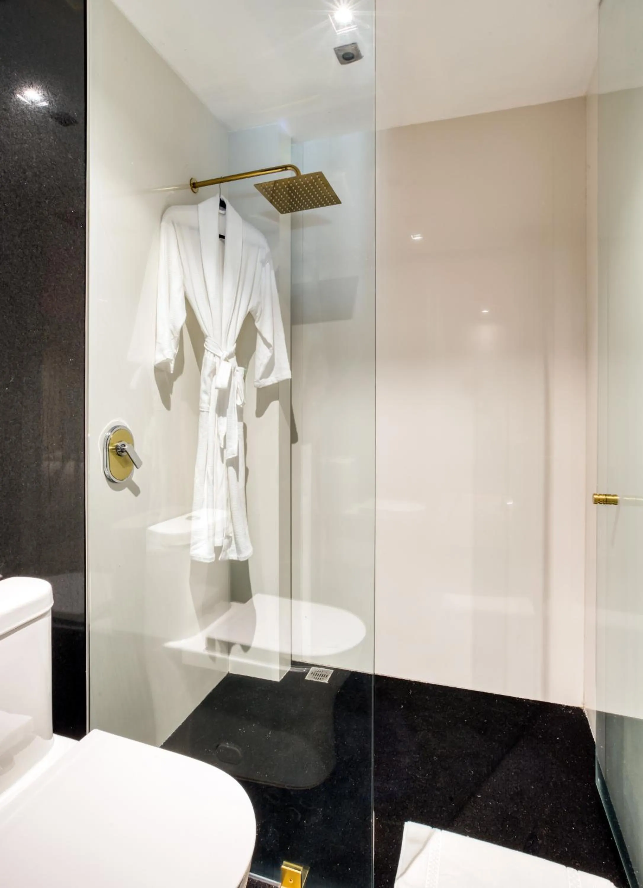 Toilet in El Alfonsa