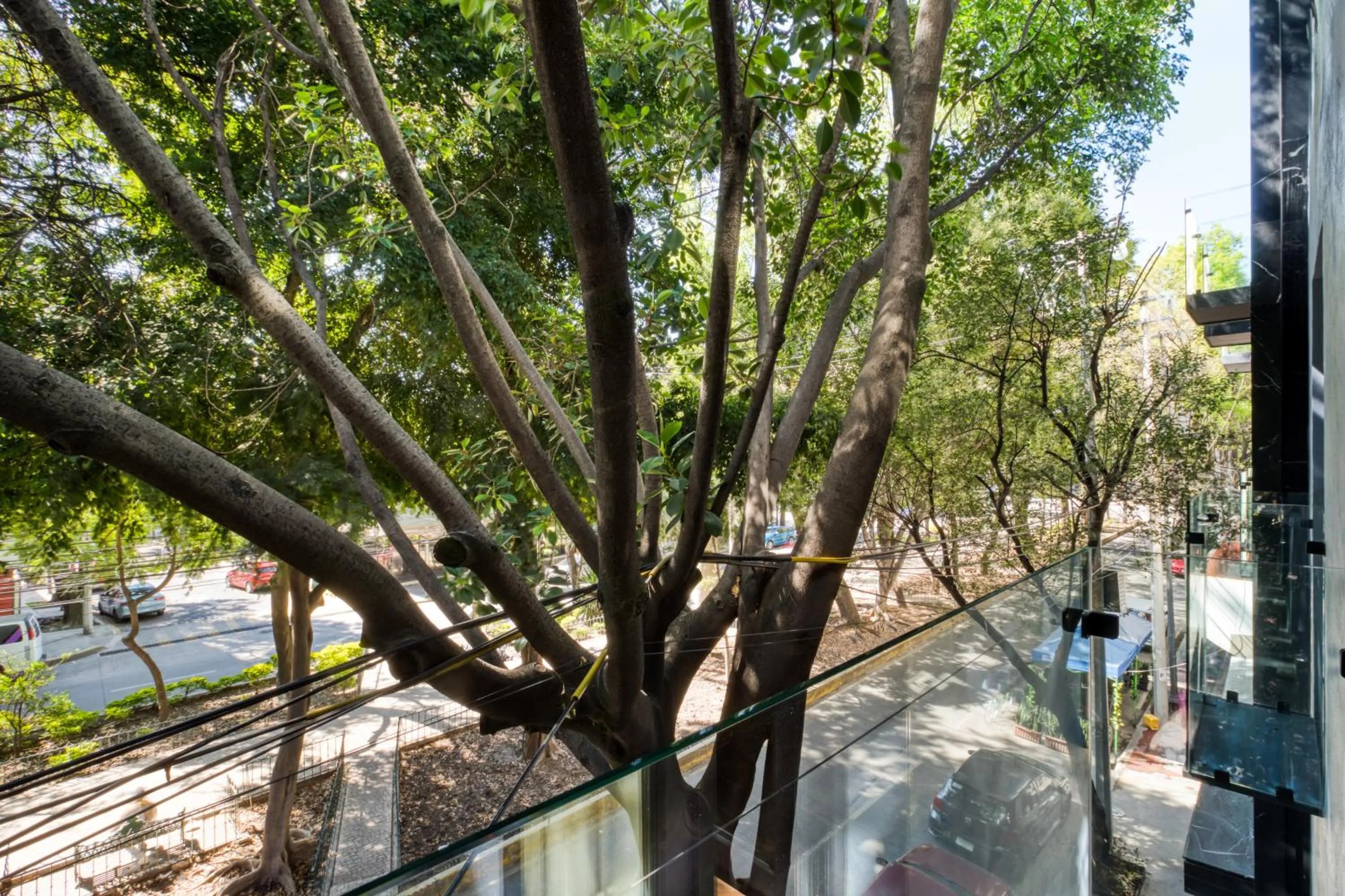 City view in El Alfonsa