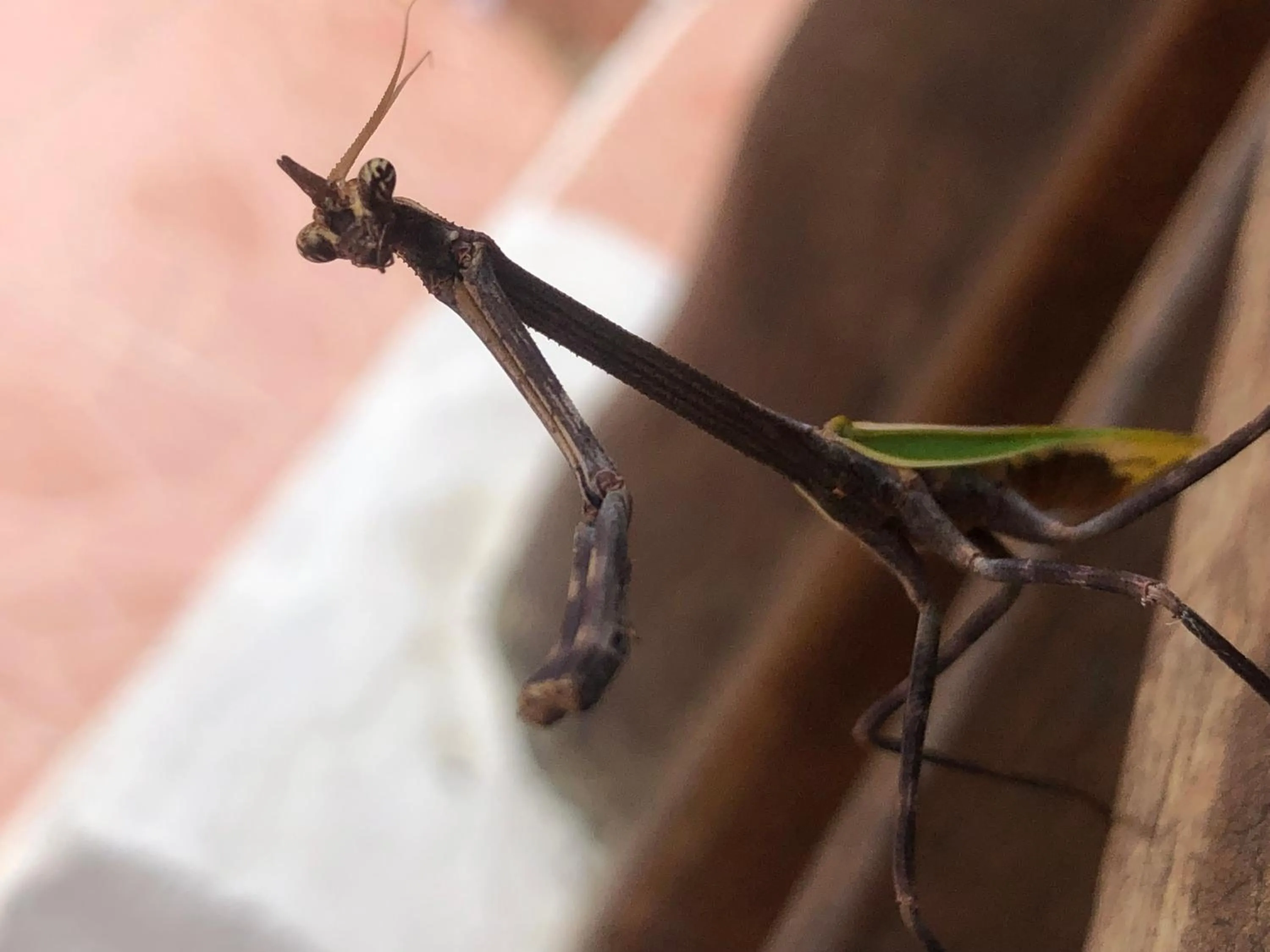 Los Fundadores Estancia Ecológica