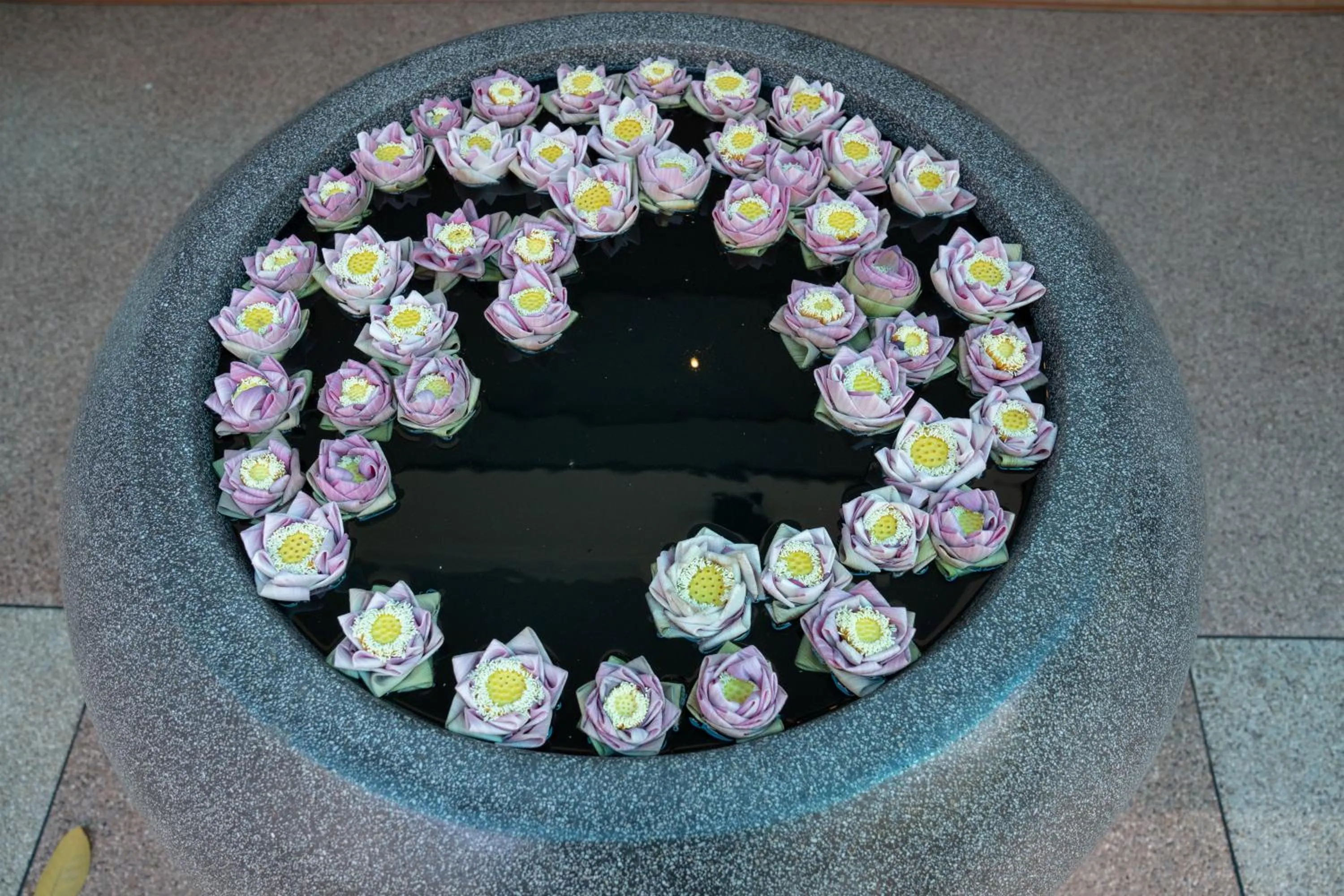 Property building in Smile Boutique Hotel by EHM