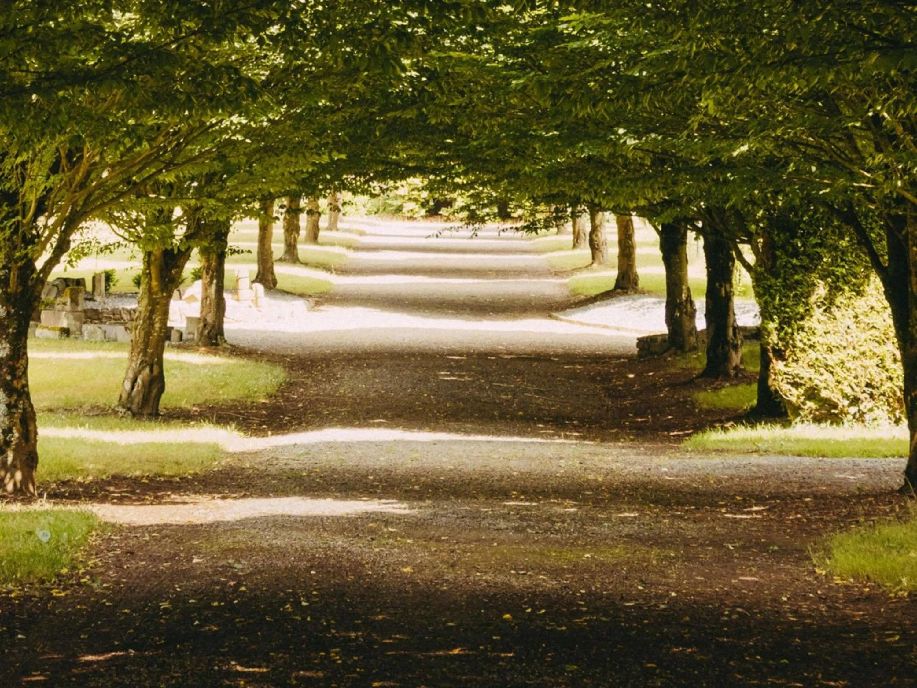 Property building in Hotel de L'Abbaye Le Tronchet - Handwritten Collection