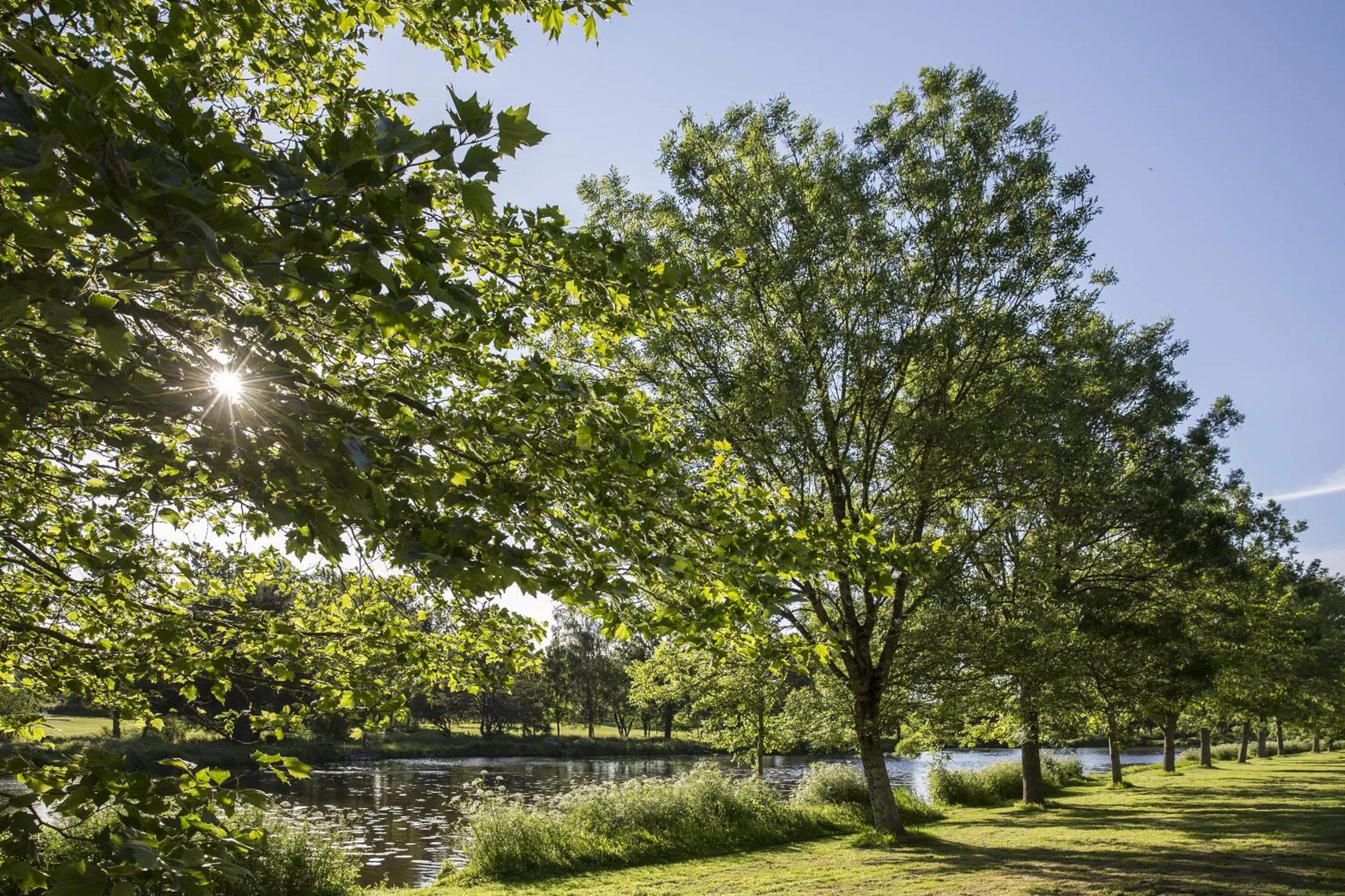 Lake view in Hotel de L'Abbaye Le Tronchet - Handwritten Collection