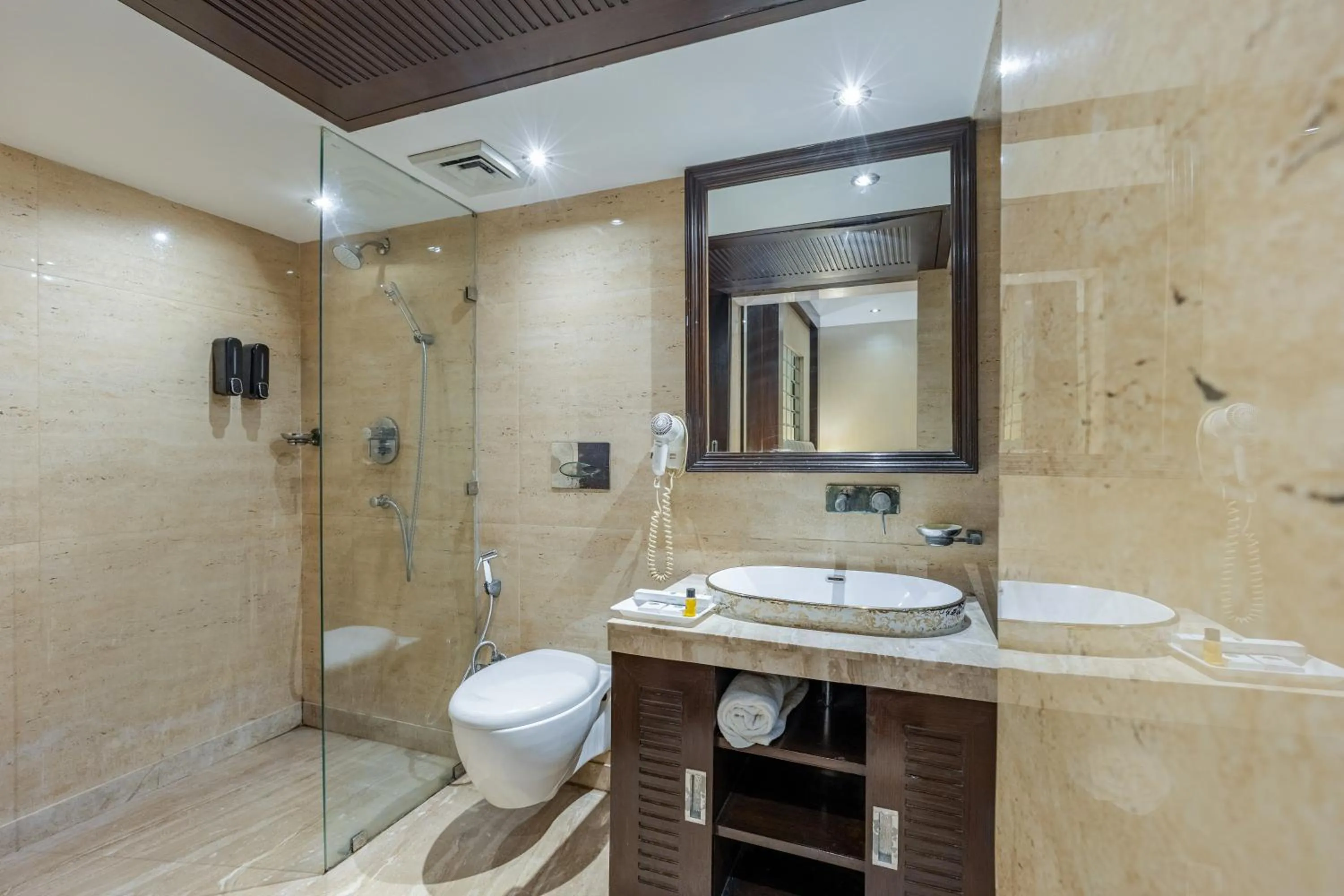 Shower in Alaya Stays Hotel Emperor Palms