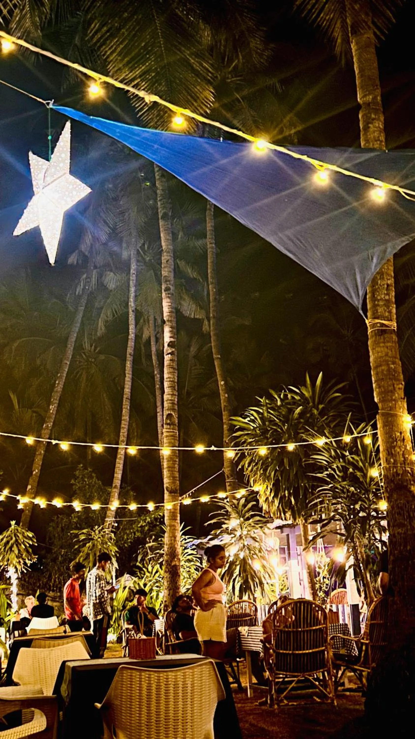 Natural landscape in Garden Aroma Palolem, Beachside Hostel & Cafe Bar