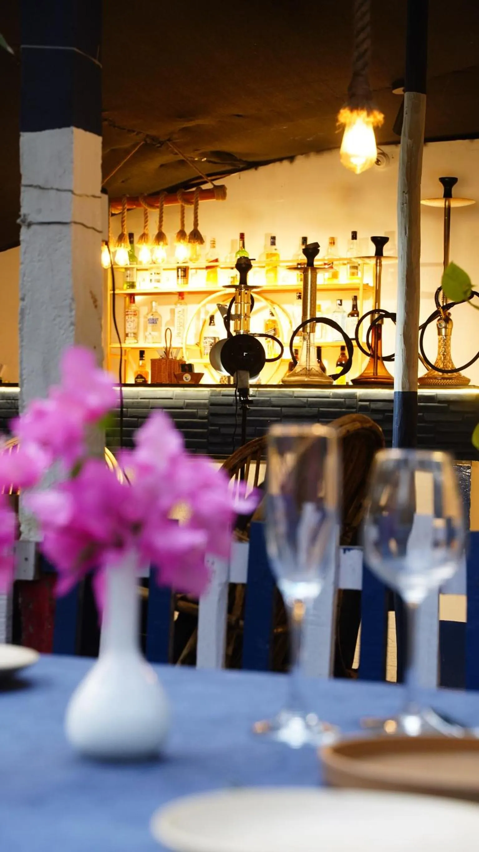 Activities in Garden Aroma Palolem, Beachside Hostel & Cafe Bar