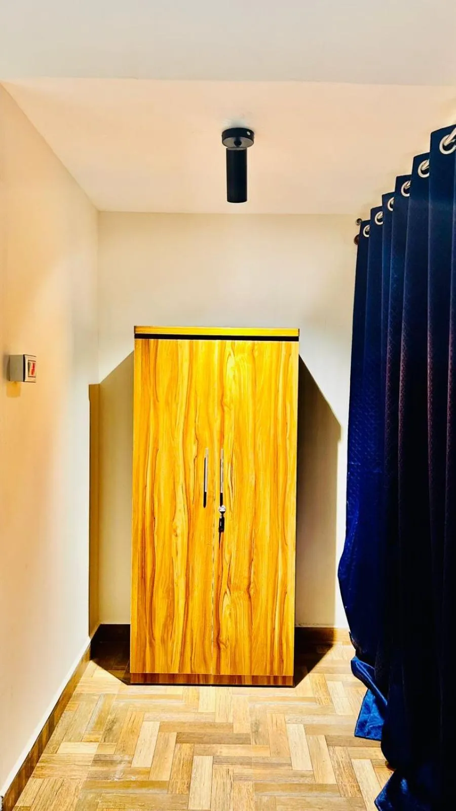 View (from property/room) in Garden Aroma Palolem, Beachside Hostel & Cafe Bar