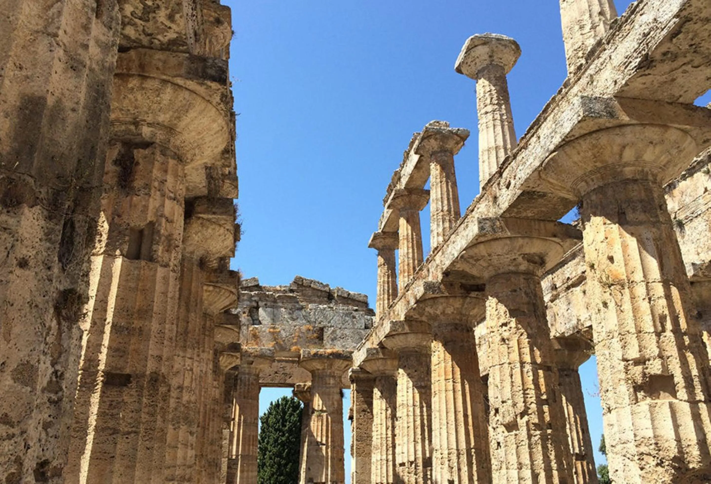 Nearby landmark in Hotel Cerere