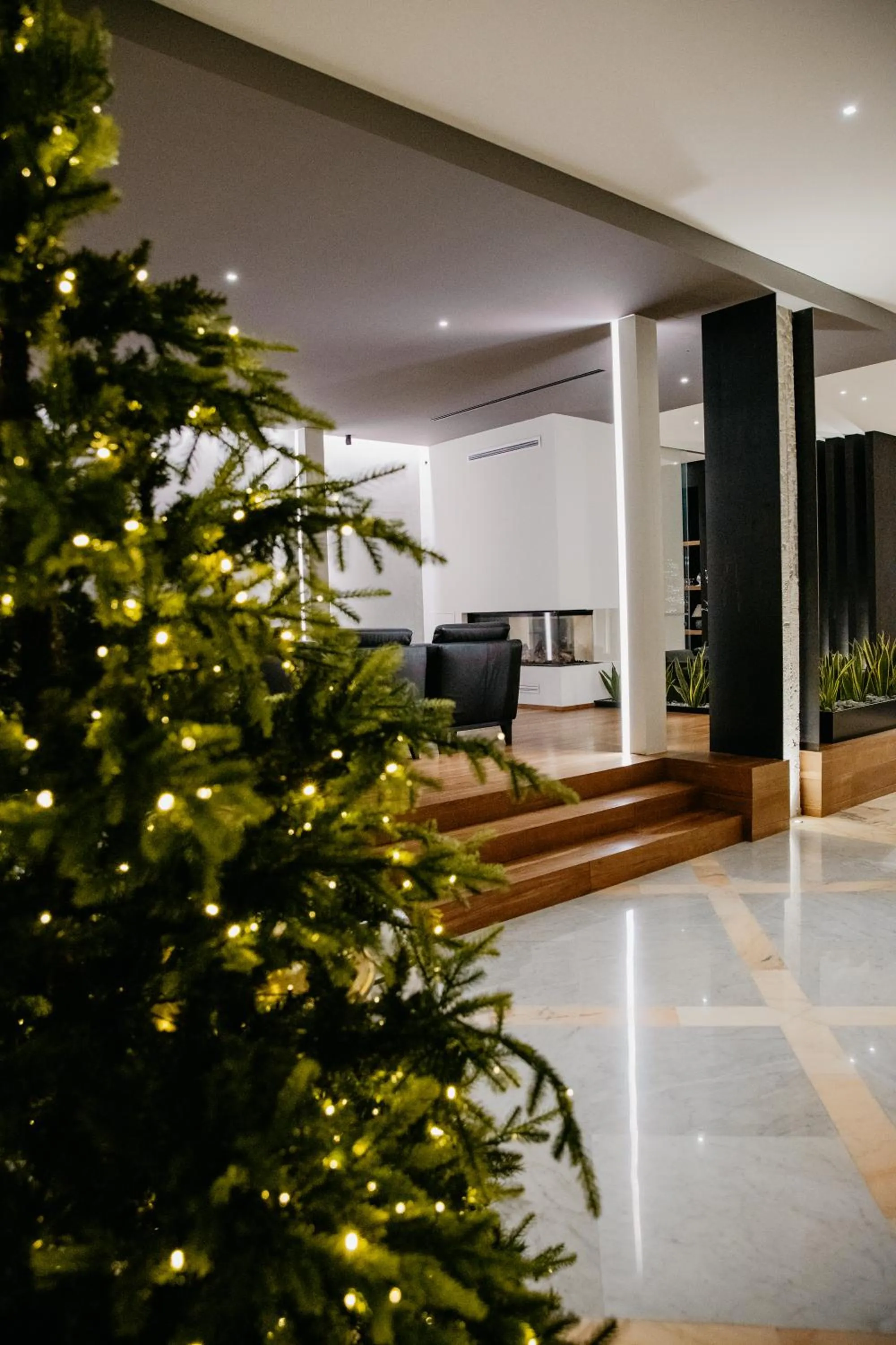 Lobby or reception in Hotel Cerere