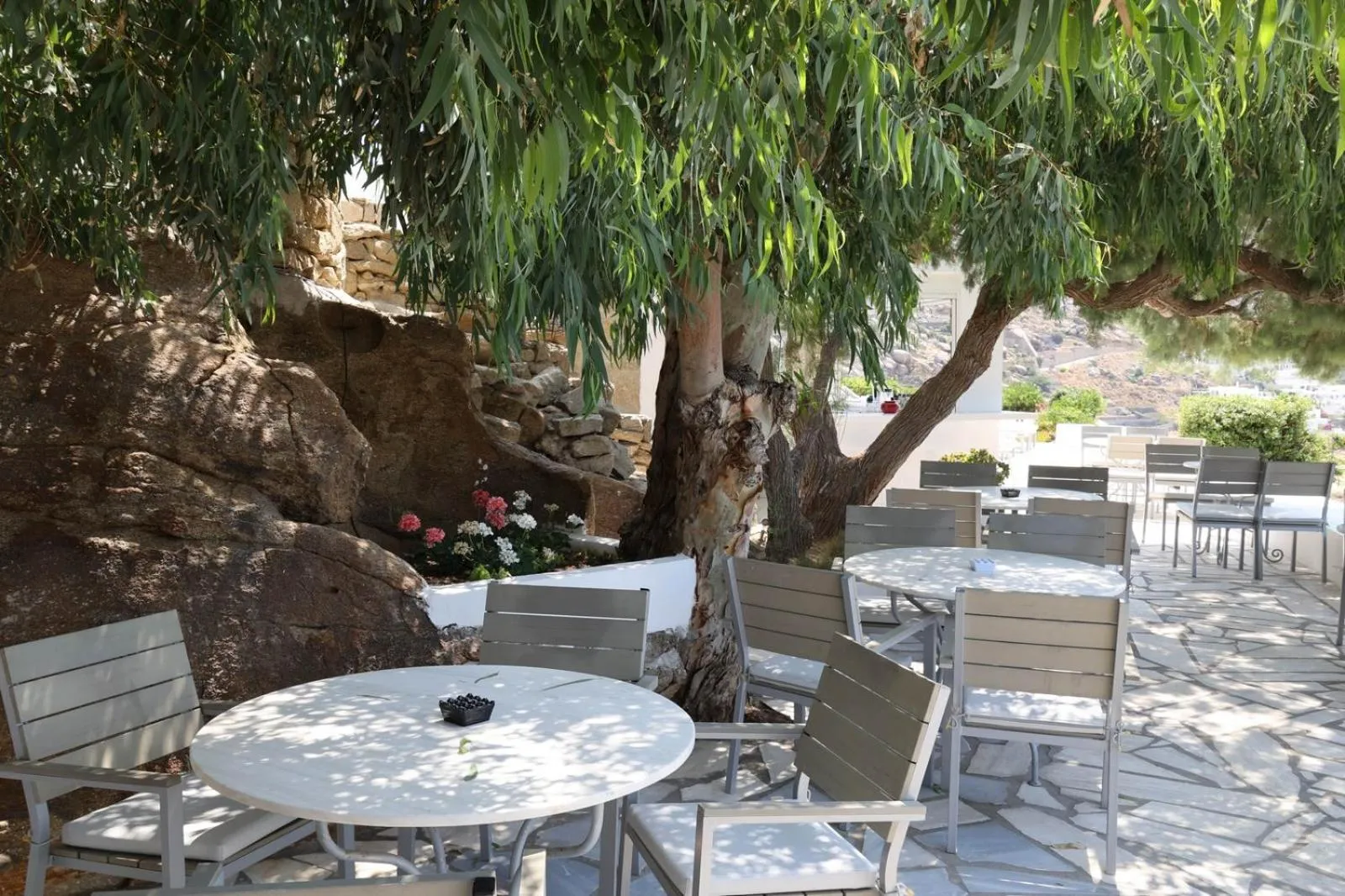 Restaurant/places to eat in Adikri Villas & Suites