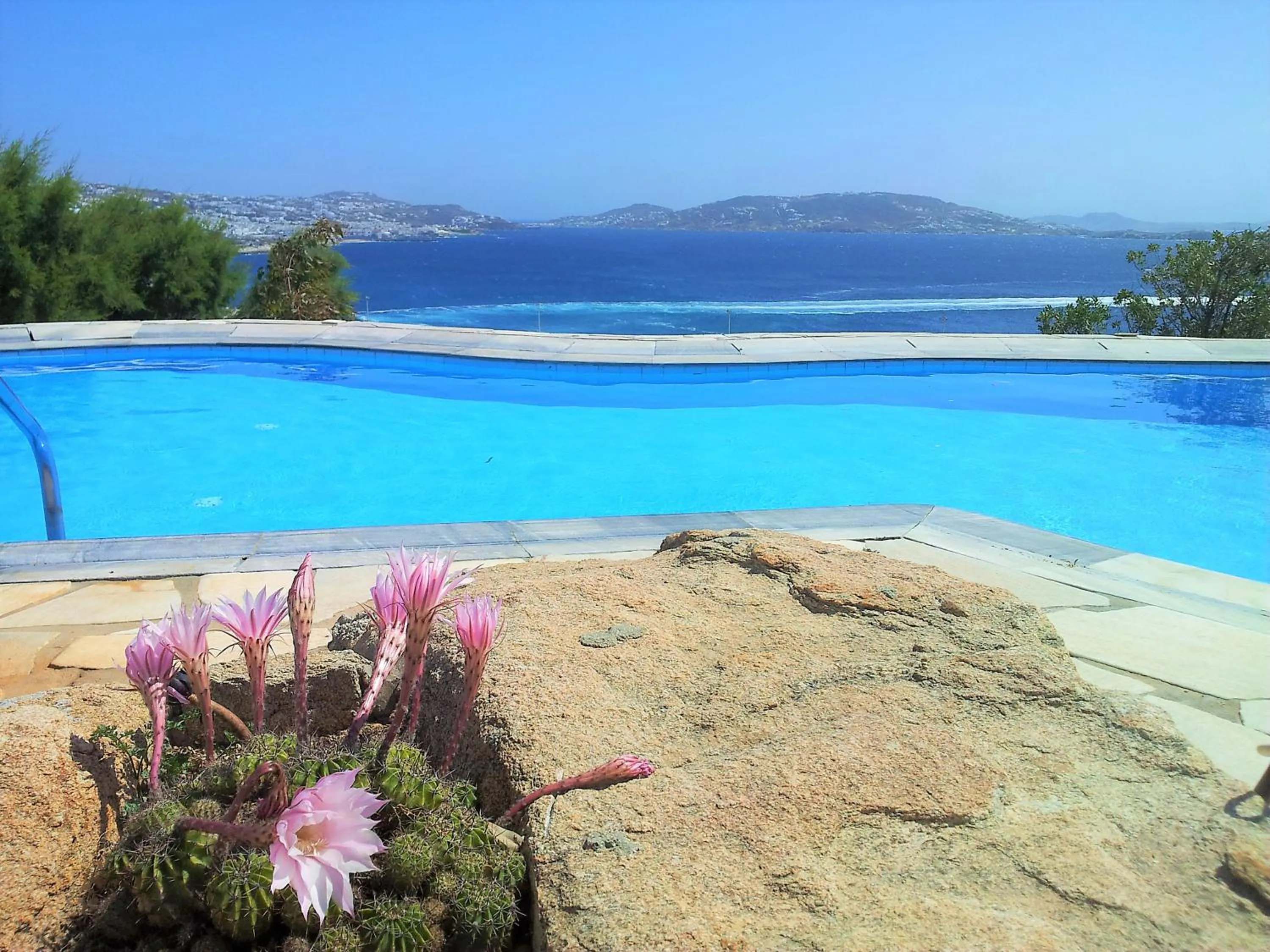 Pool view in Adikri Villas & Suites