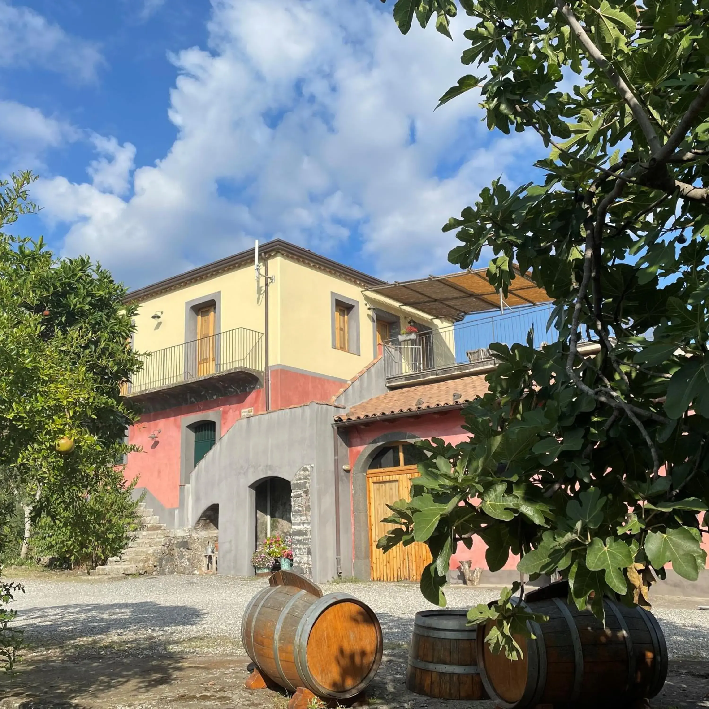 Tenuta Madonnina Tenuta Madonnina