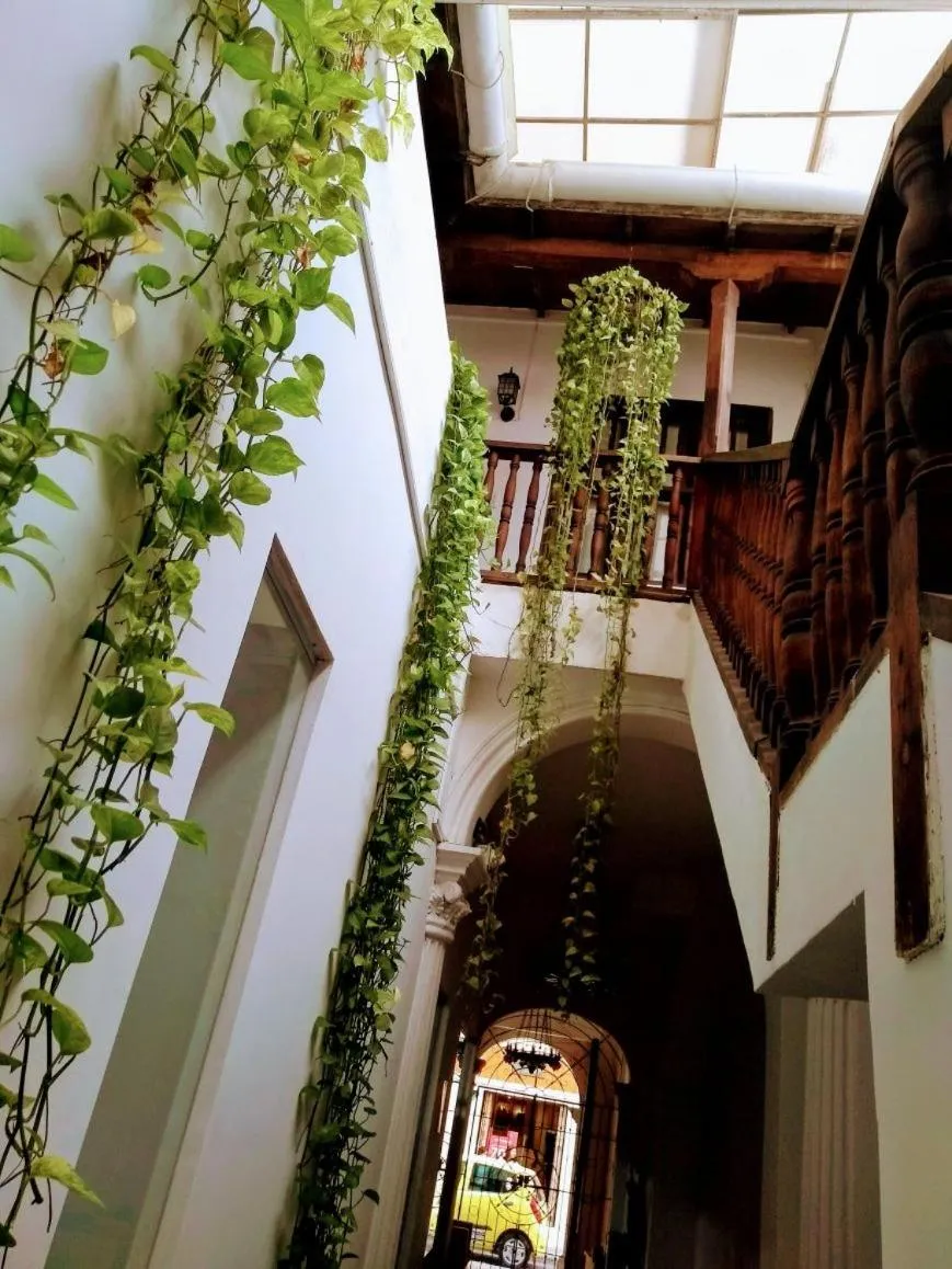 Santa Alejandría Hotel