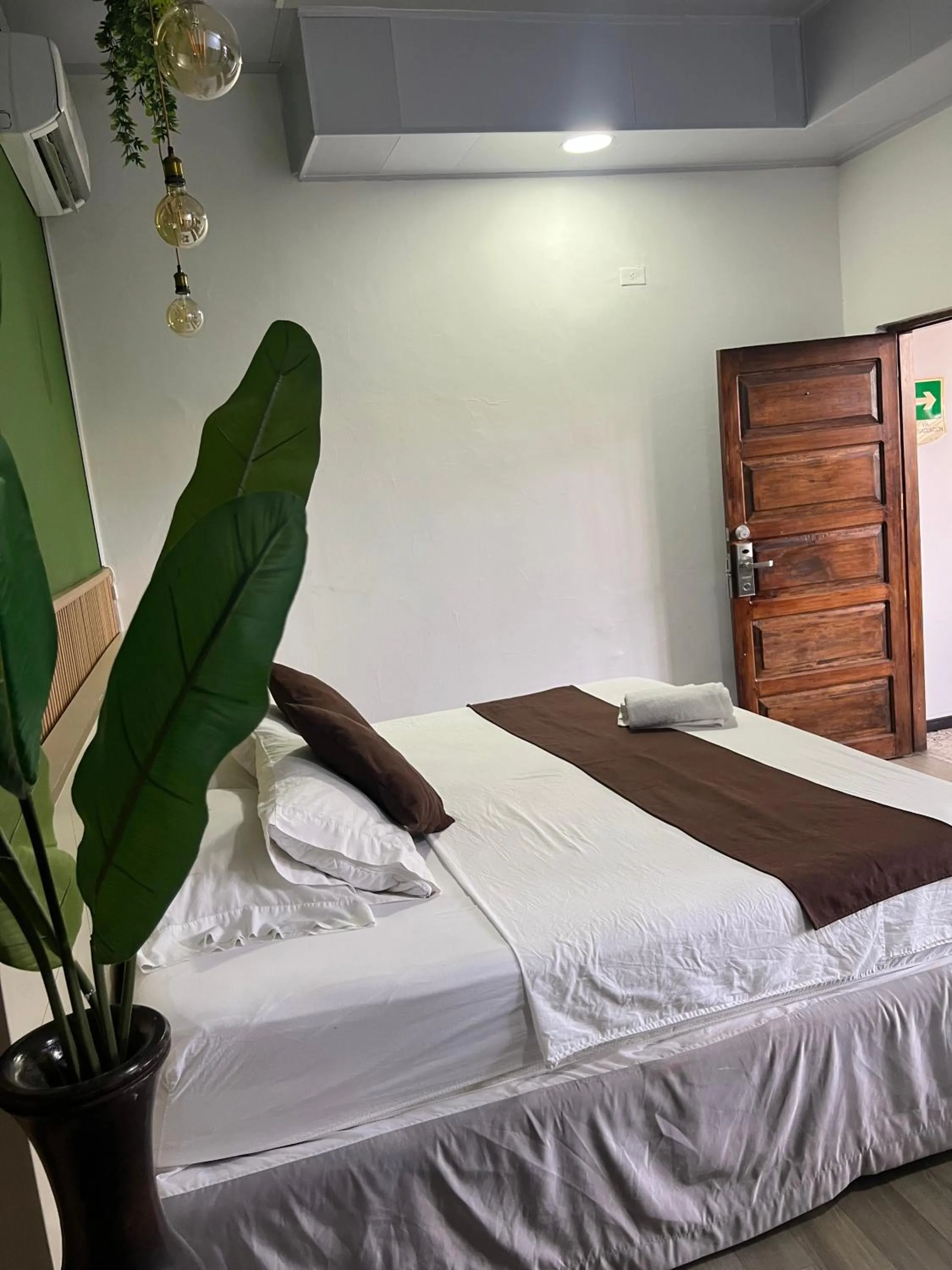 Photo of the whole room, Bed in Santa Alejandría Hotel