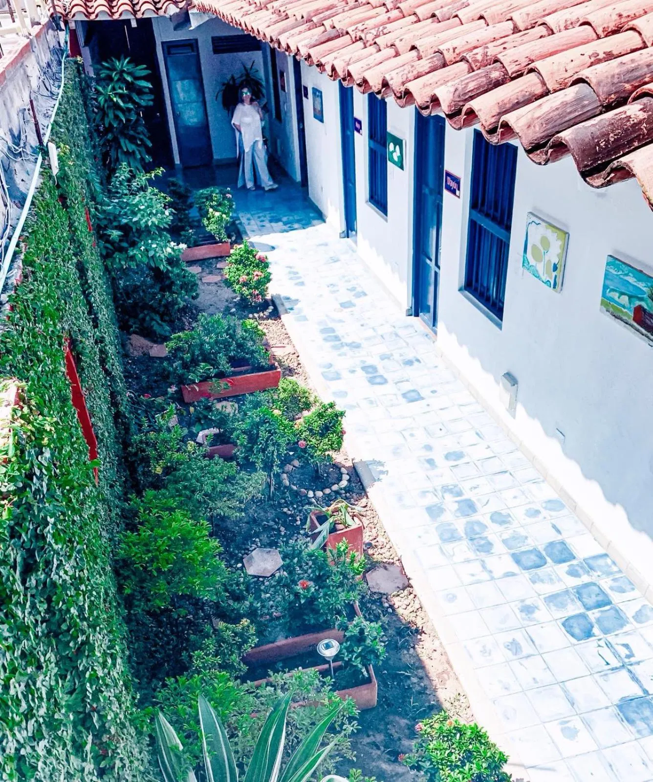 Garden in Zana Hotel Boutique