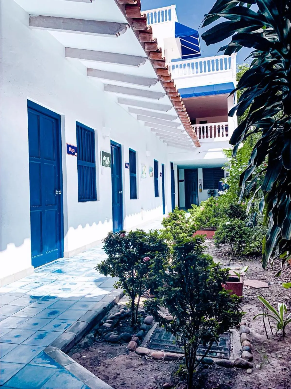 Garden in Zana Hotel Boutique