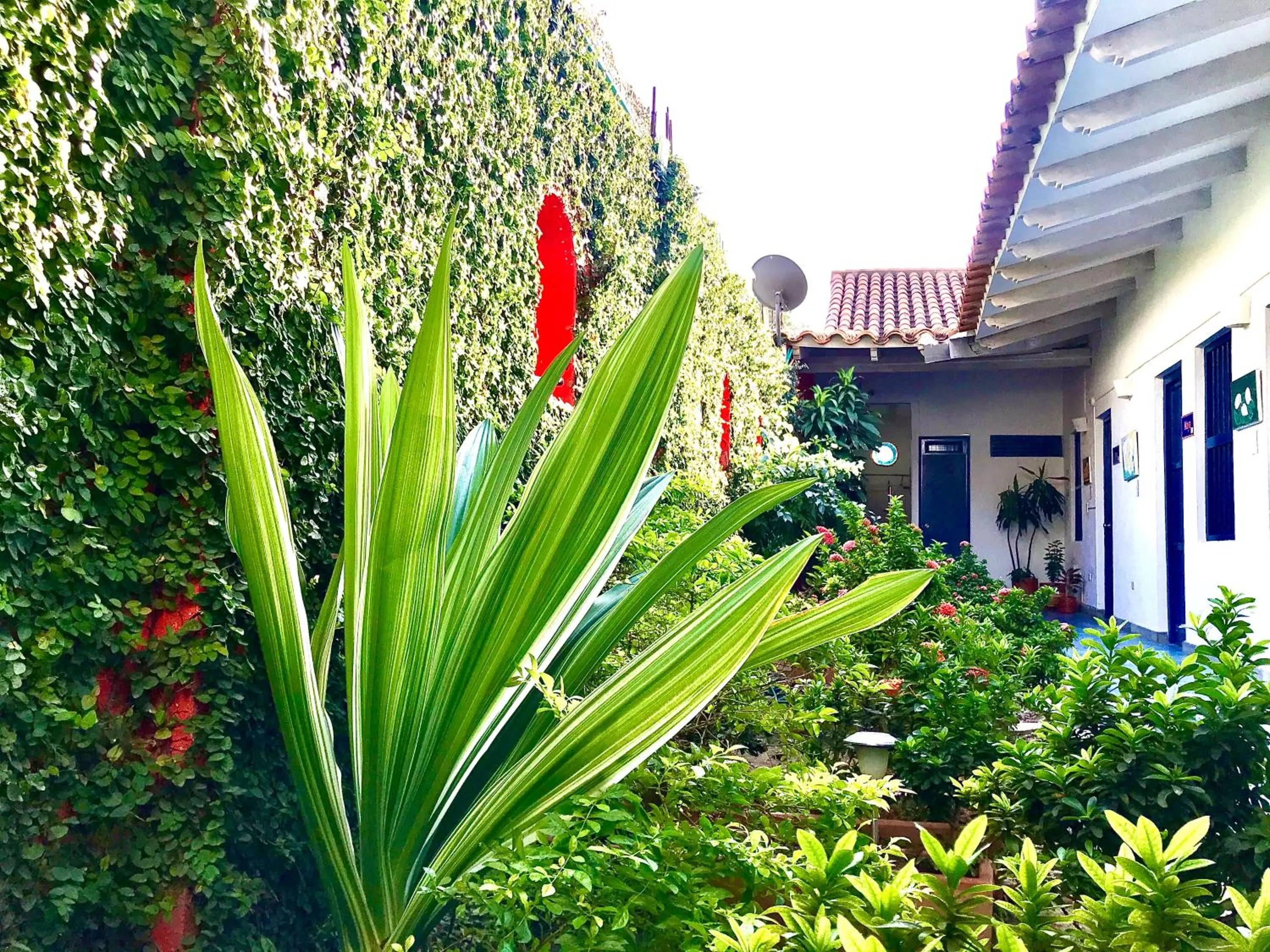 Patio in Zana Hotel Boutique