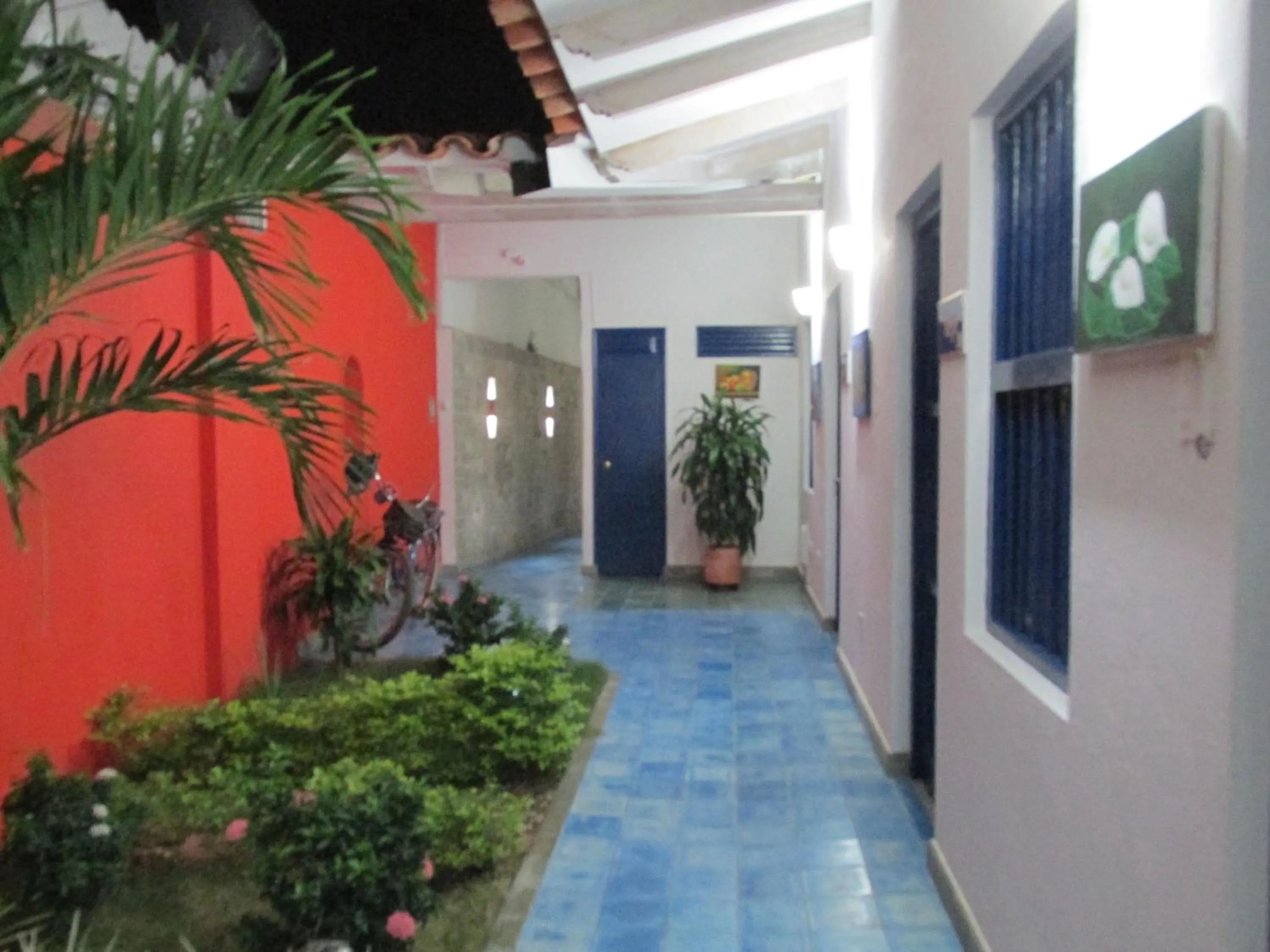 Garden in Zana Hotel Boutique