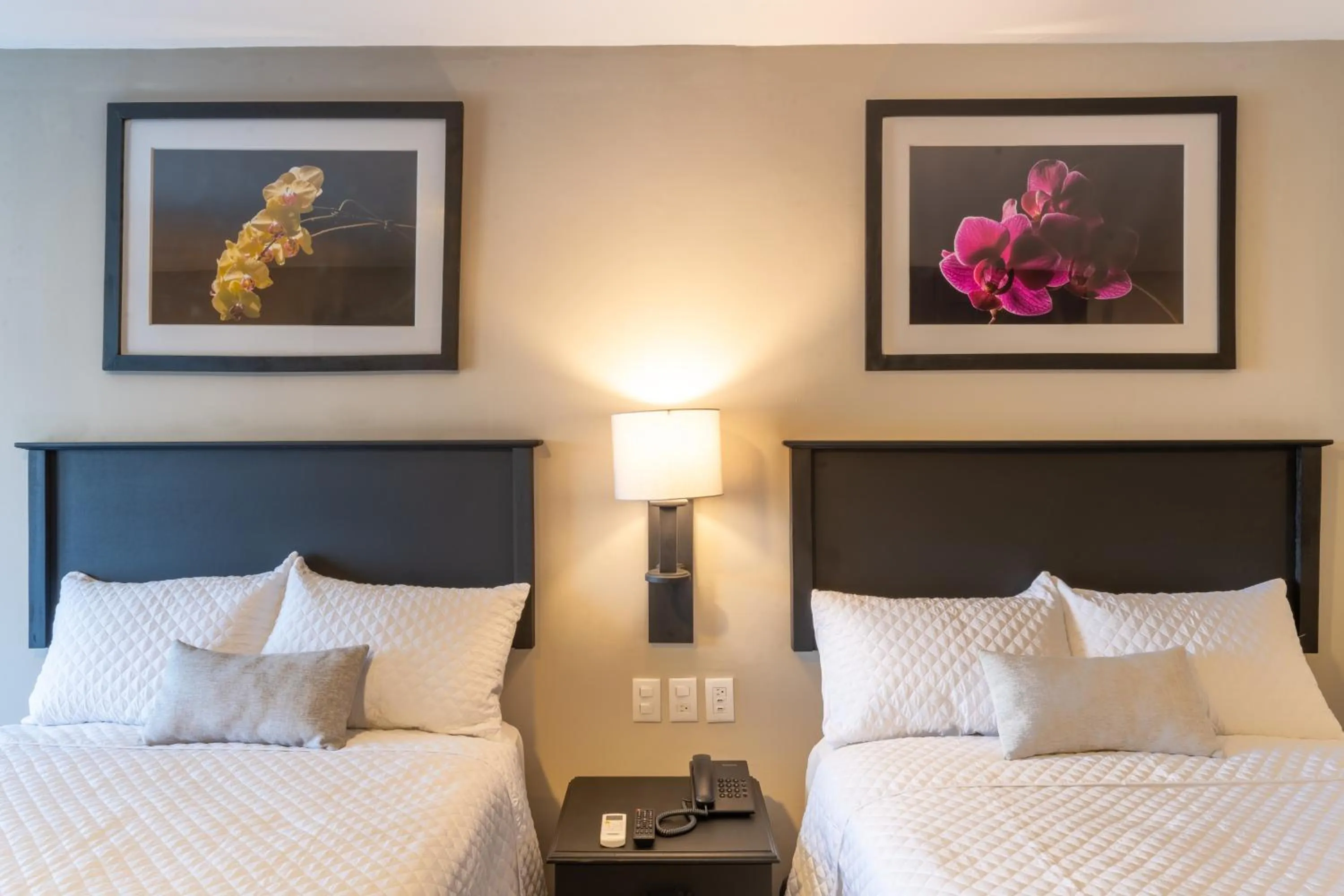 Bed in Conquistador Hotel & Conference Center