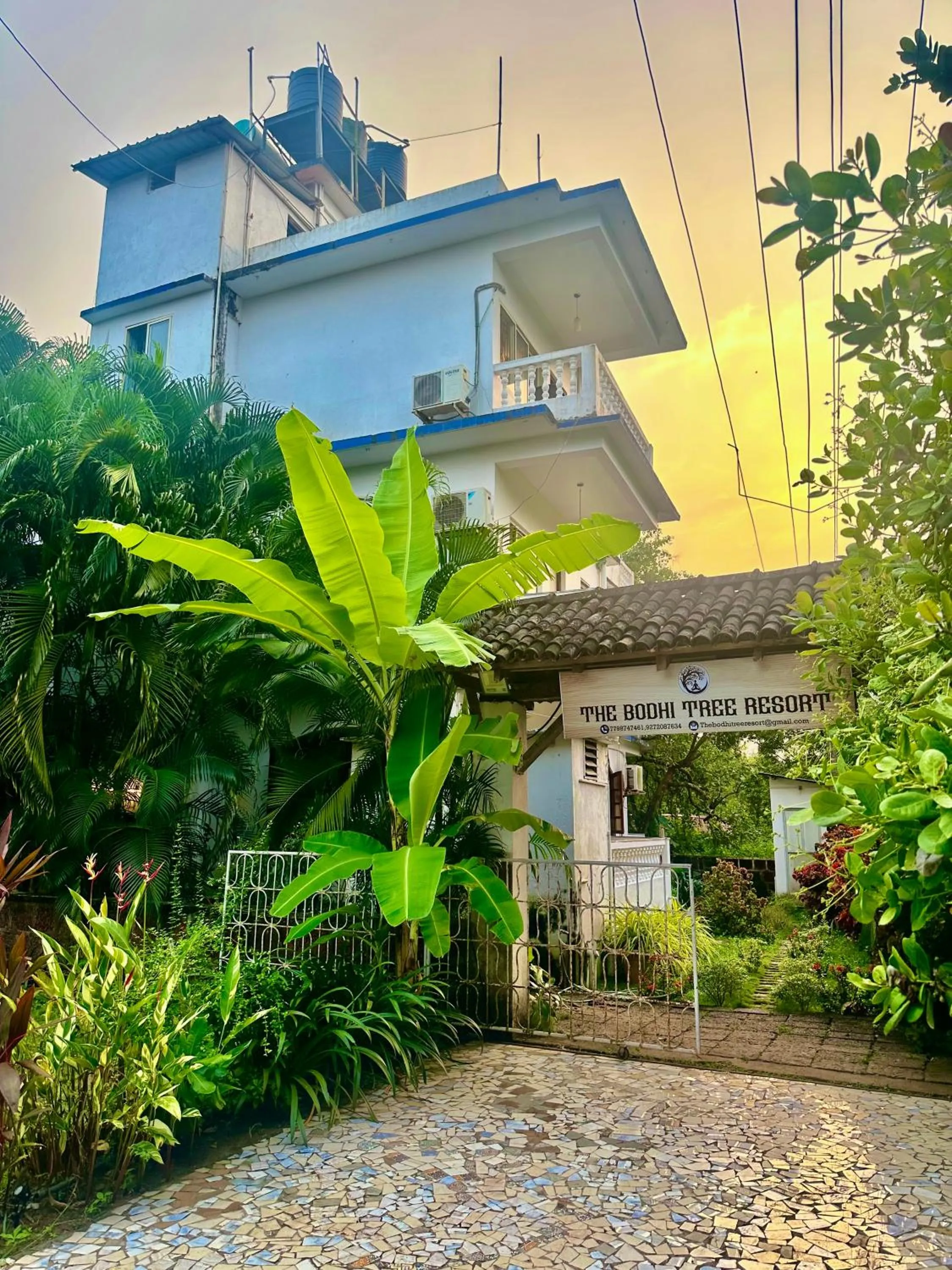 Property building in The Bodhi Tree Resort