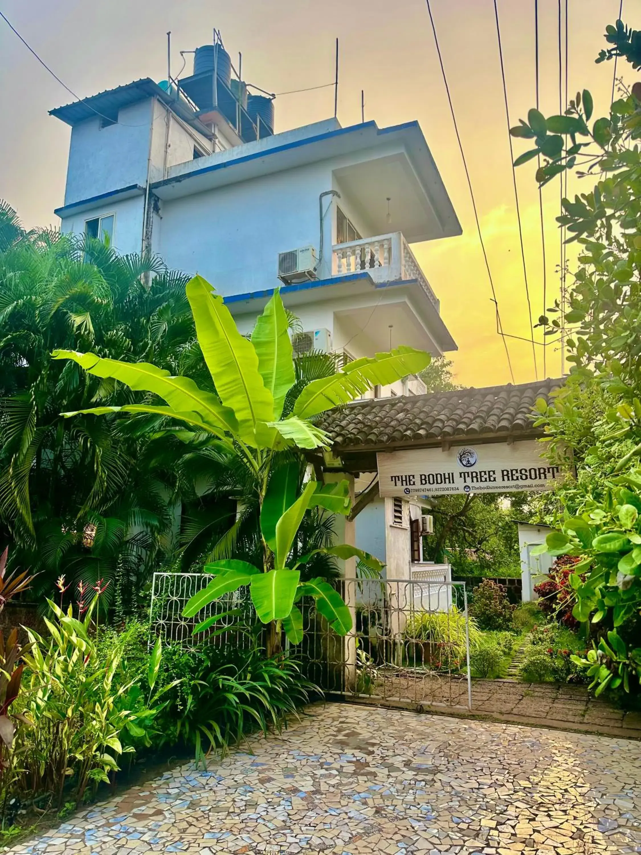 Property building in The Bodhi Tree Resort Property building in The Bodhi Tree Resort
