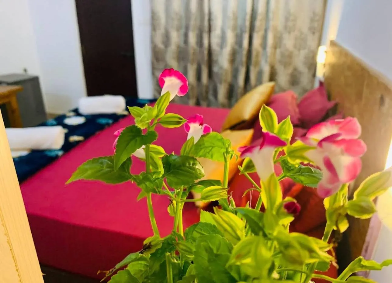 Bed in The Bodhi Tree Resort