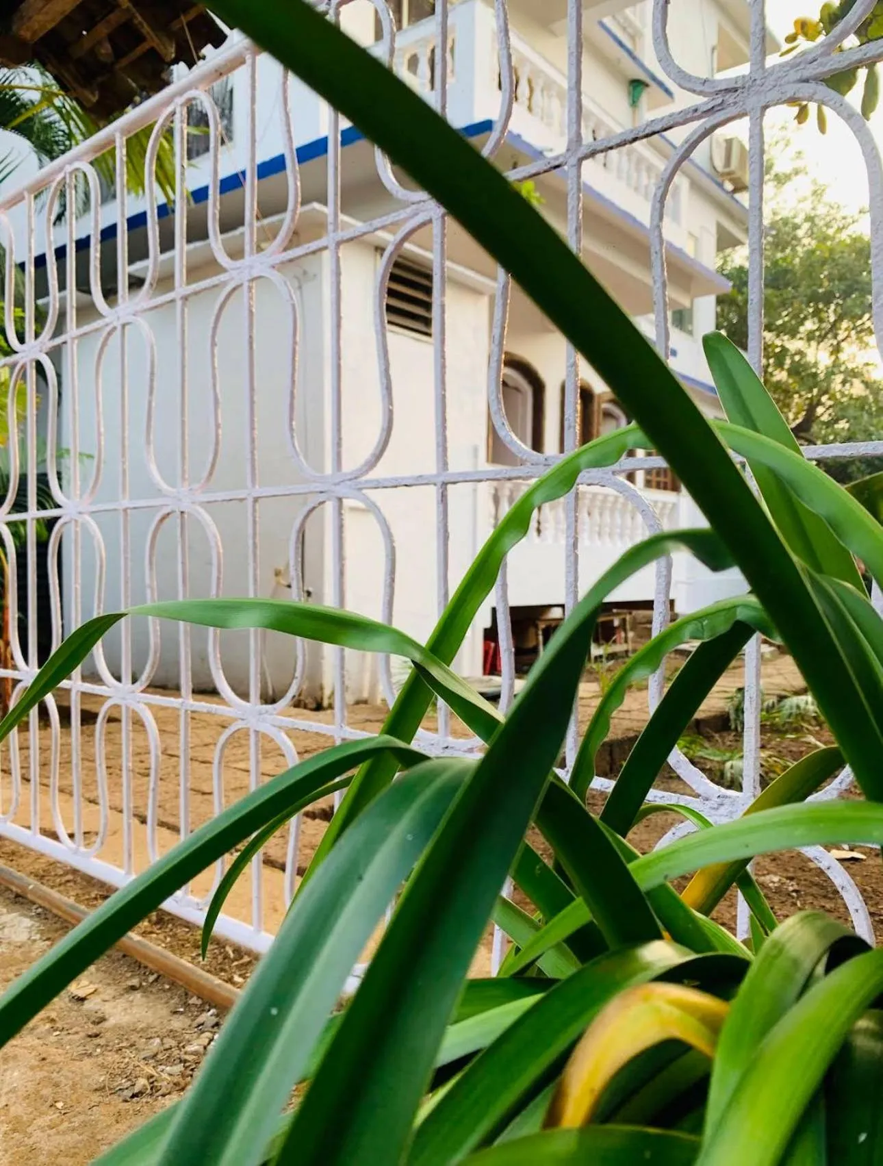 Day in The Bodhi Tree Resort