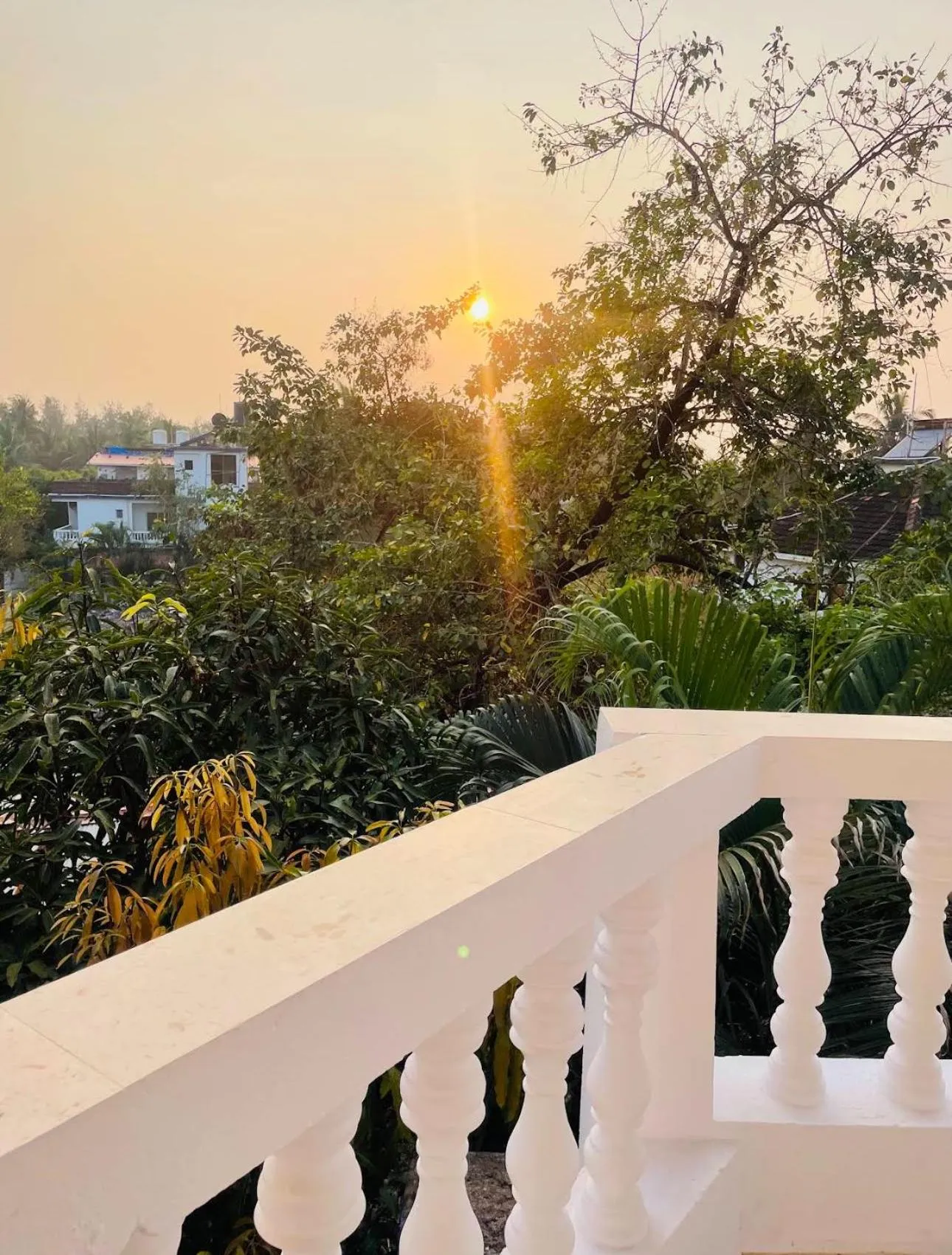 Day in The Bodhi Tree Resort