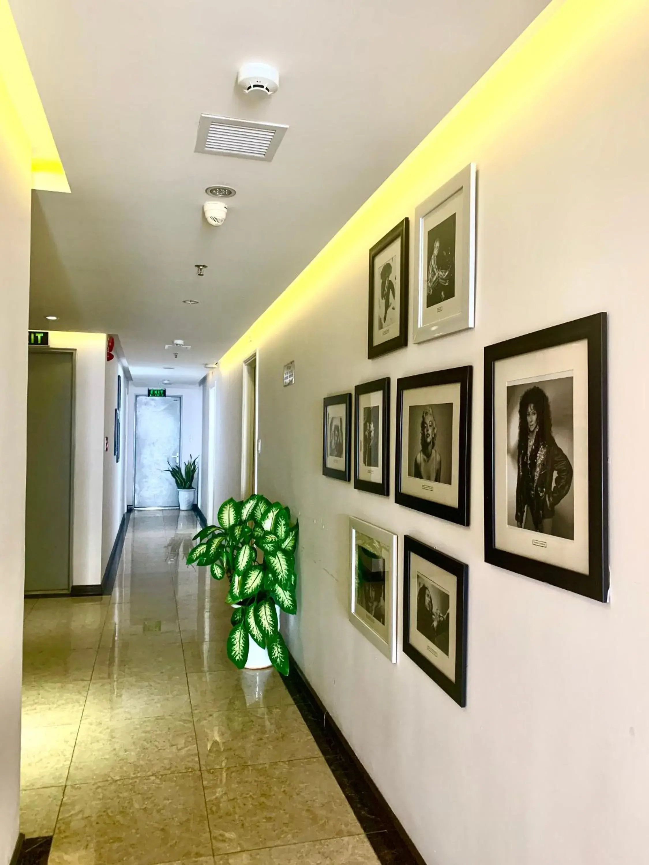 Property building in Sea Phoenix Hotel Da Nang Property building in Sea Phoenix Hotel Da Nang