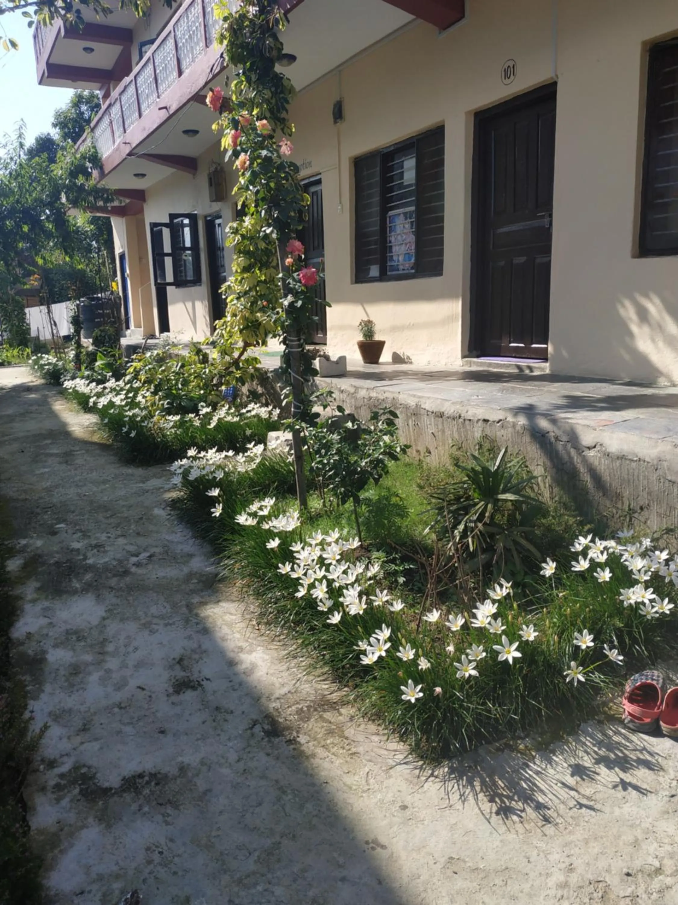 Peace Guest House