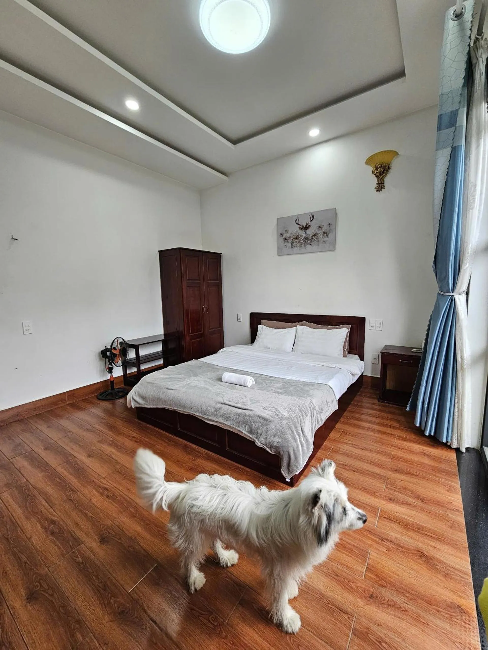 Bed in Lana Home ĐàLạt