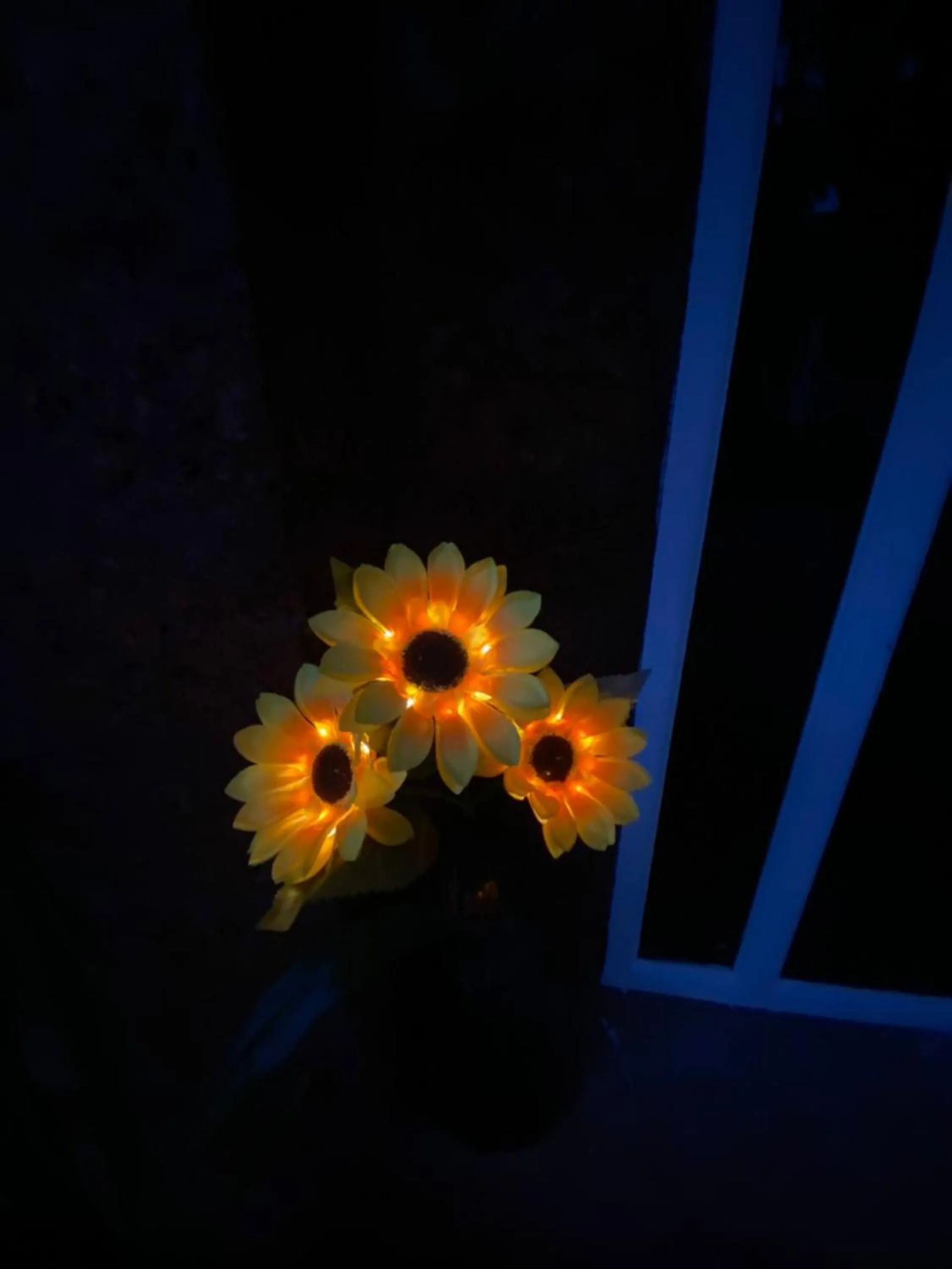 Night in The Charming Nights