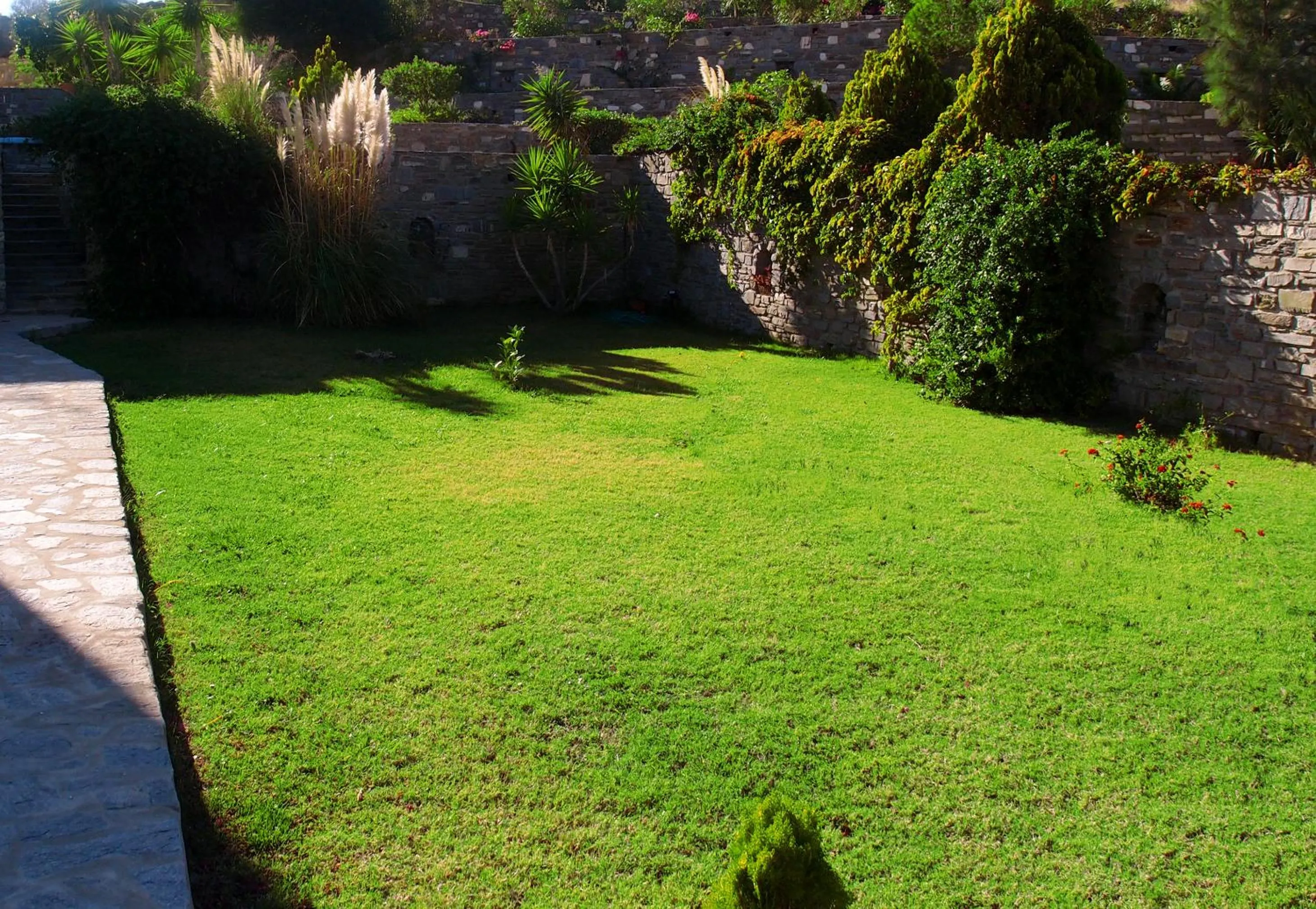 Garden in Paros Paradise Apartments