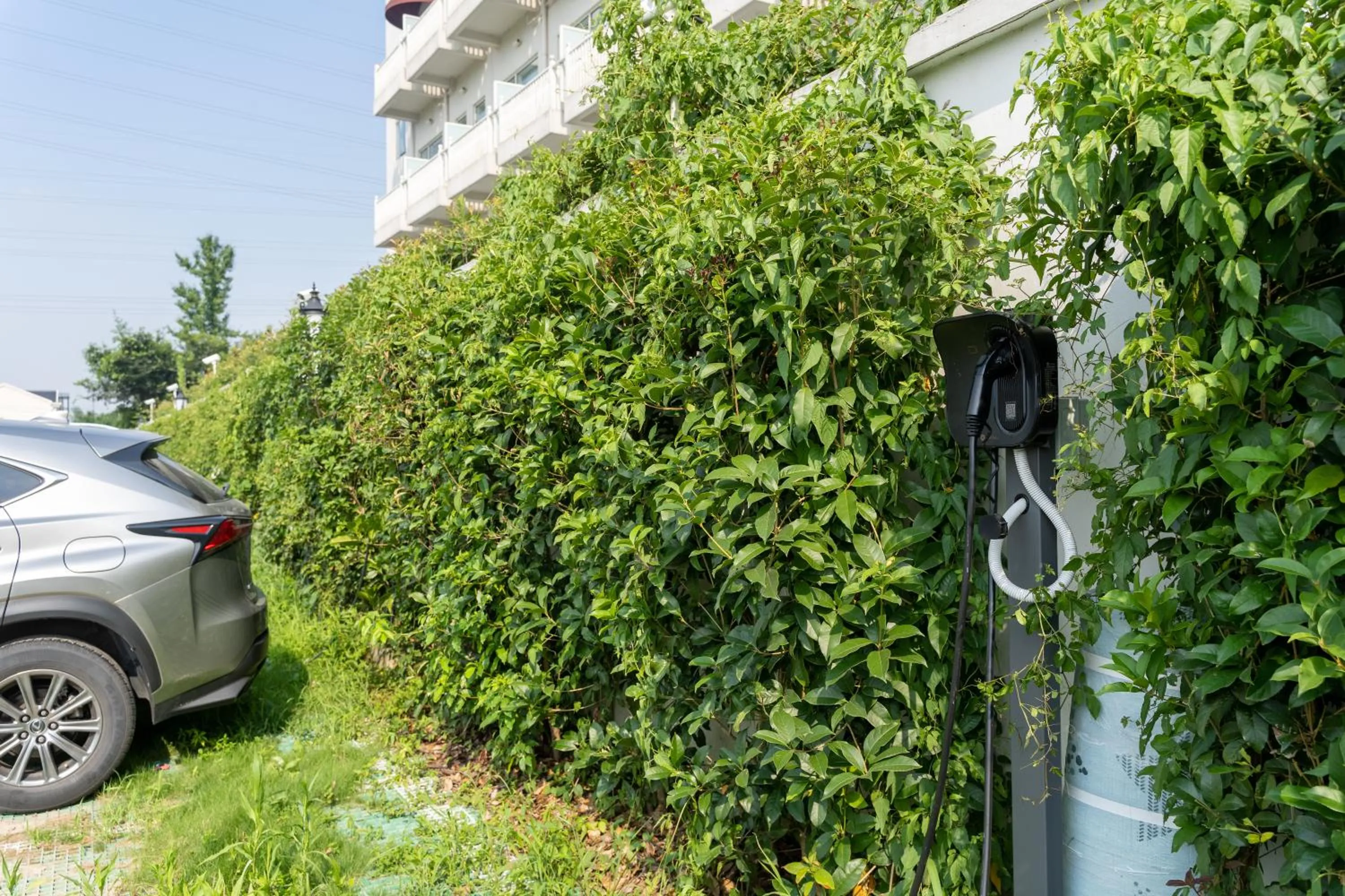 Parking in NARADA Resort Shanghai Hotel Disney Store