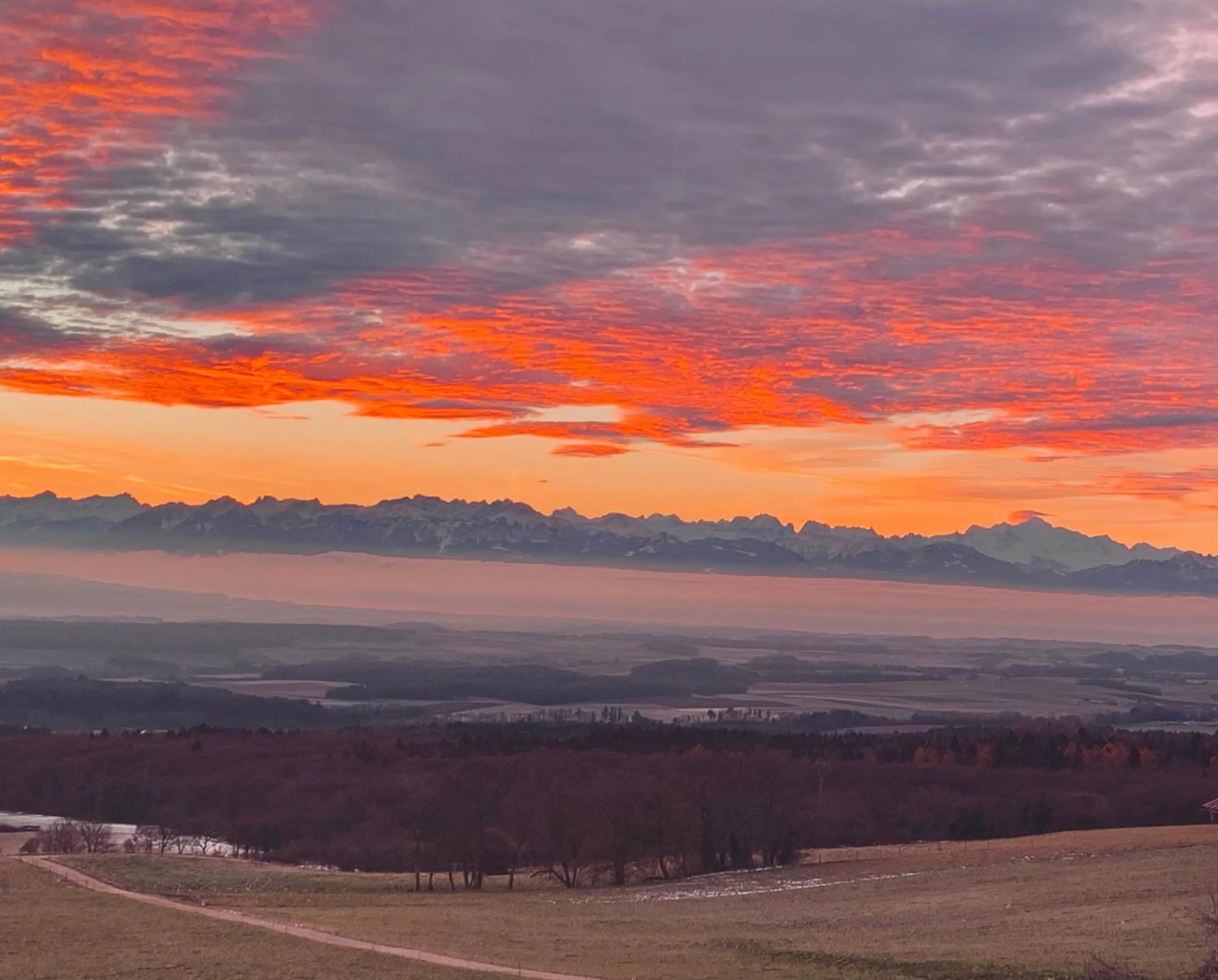 View (from property/room) in La Ferme de la Praz - Rooms with a View