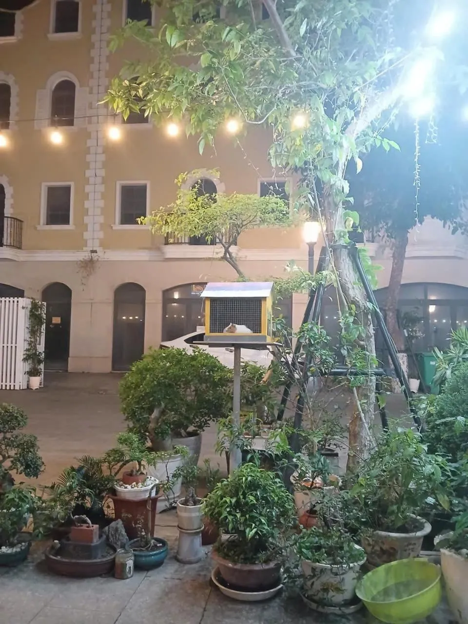 Property building in NDC MISA Hotel