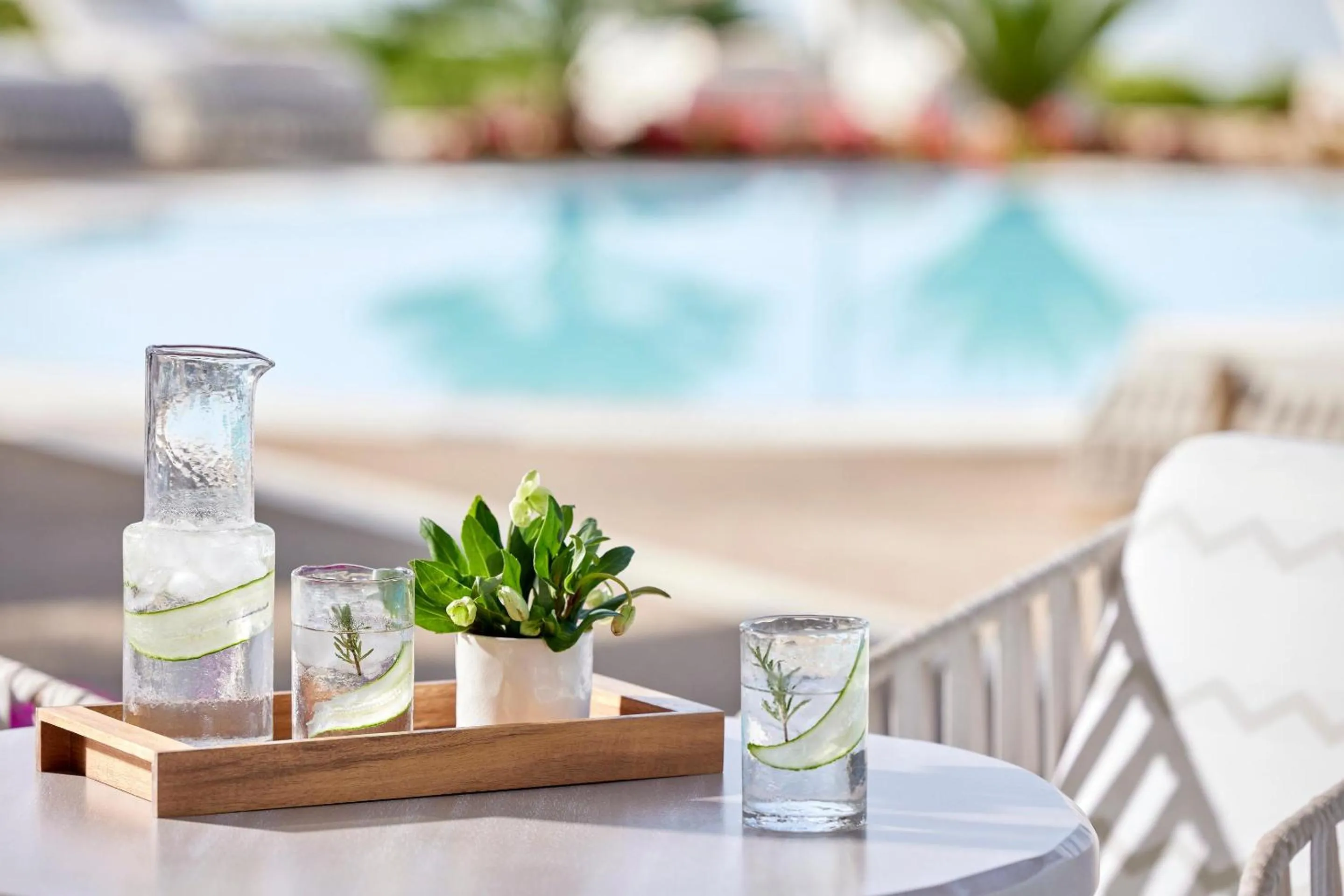 Lounge or bar in Ikos Oceania