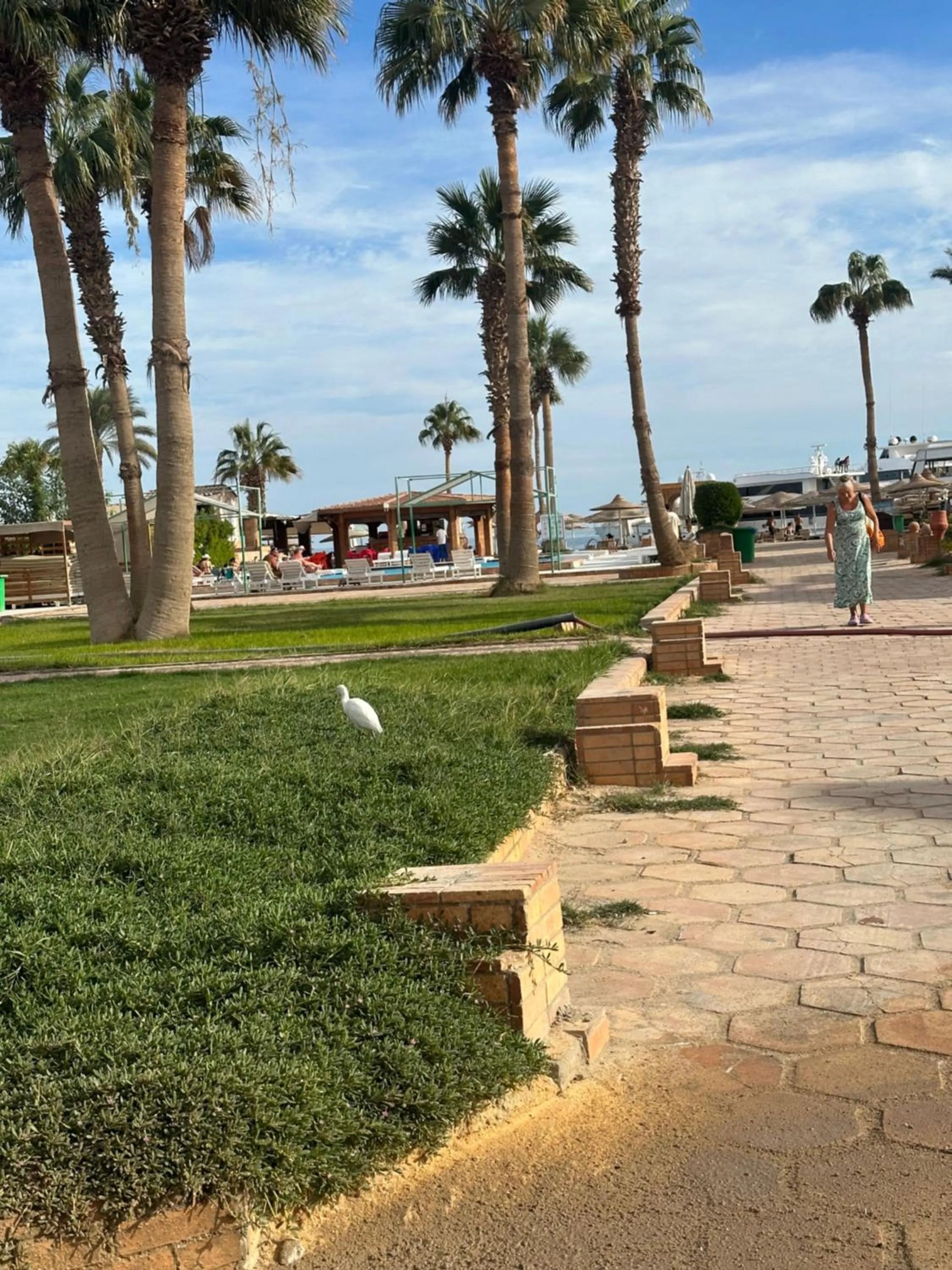 Mashrabiya hotel