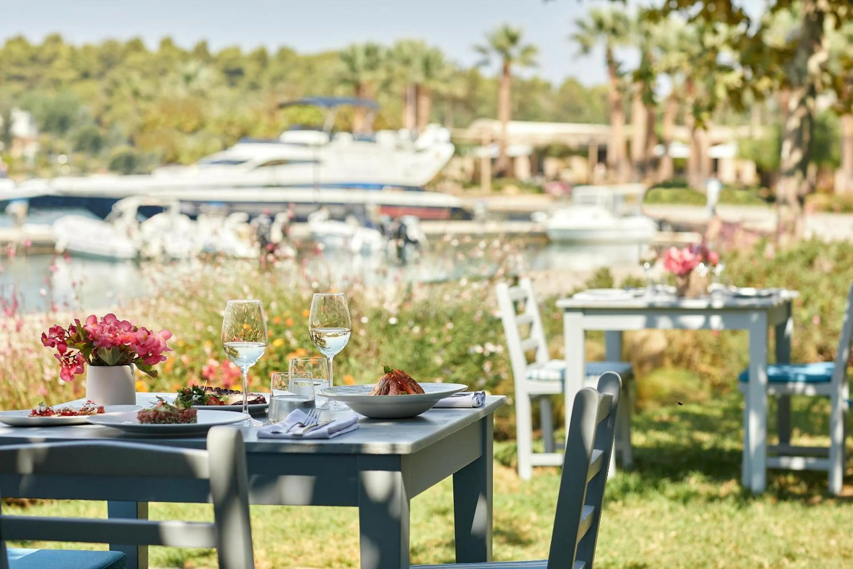 Restaurant/places to eat in Sani Club