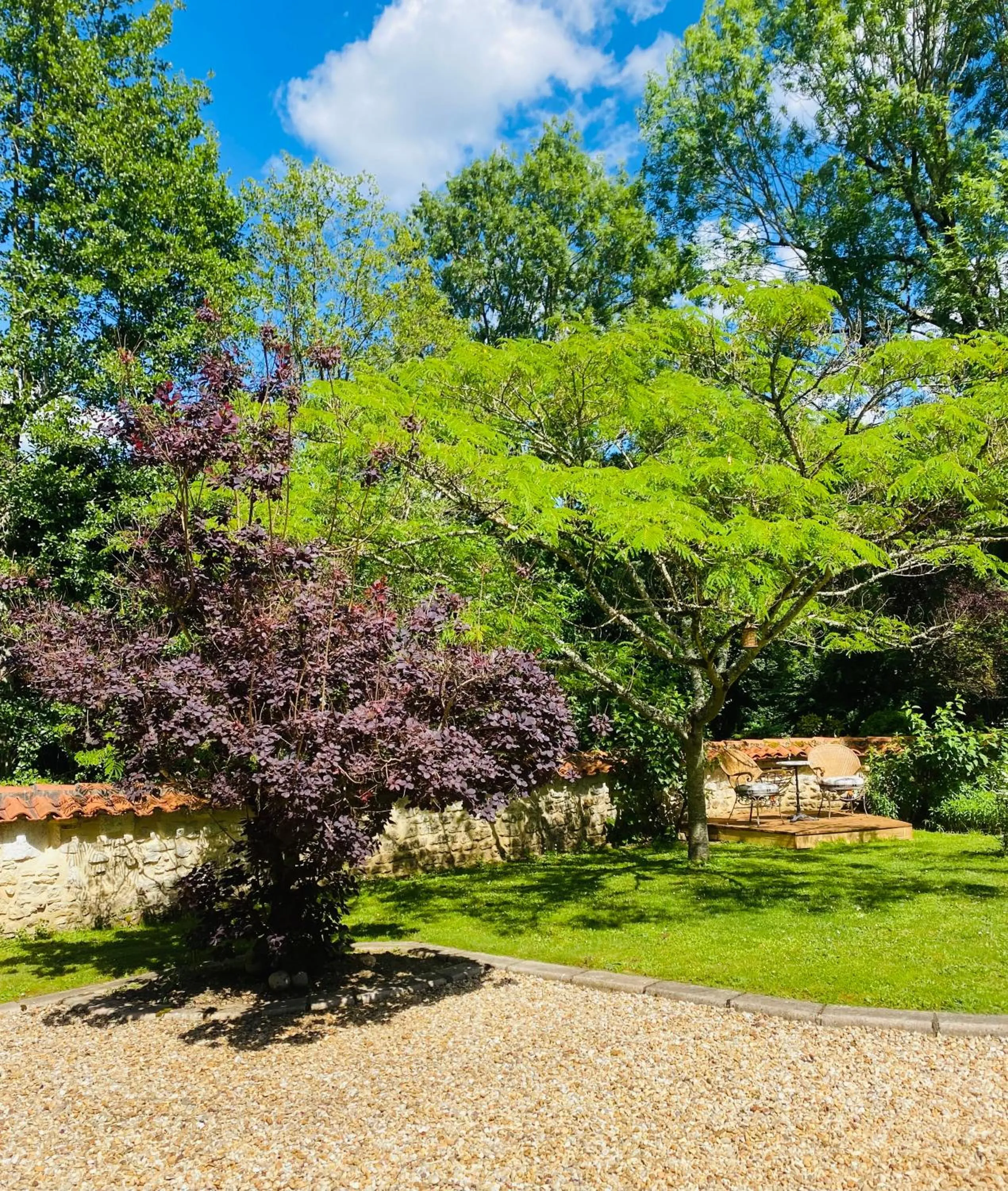 Garden in Moulin du Fontcourt